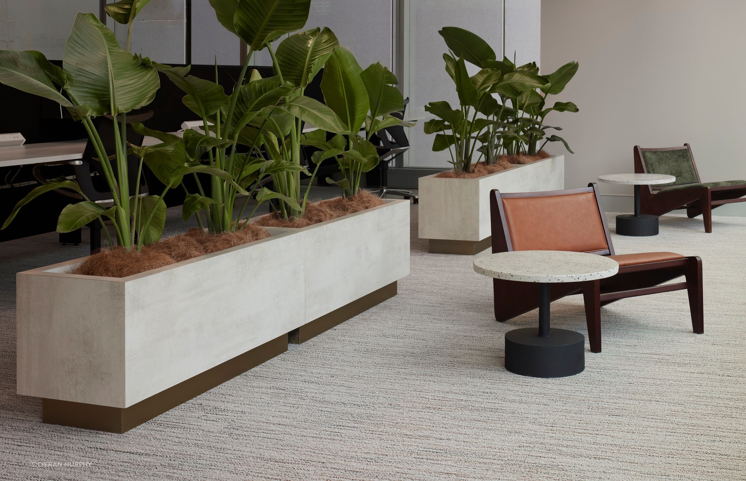 Dexus, 3/145 Ann Street