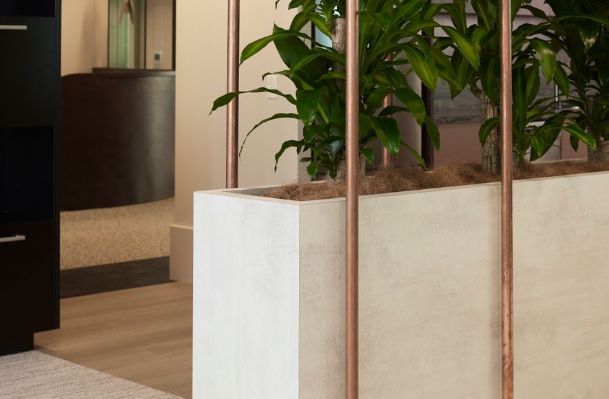 Dexus, 3/145 Ann Street