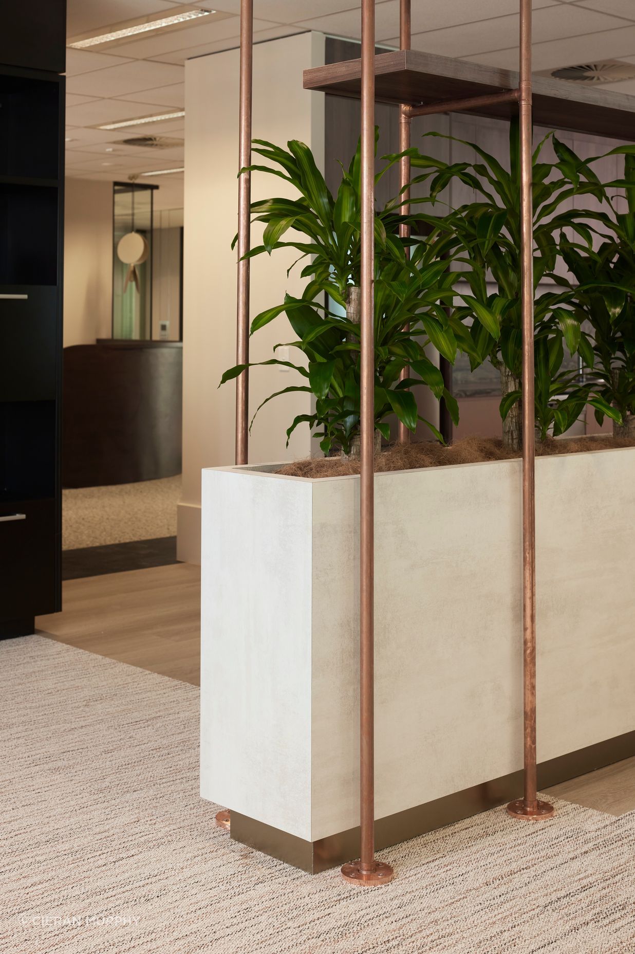 Dexus, 3/145 Ann Street