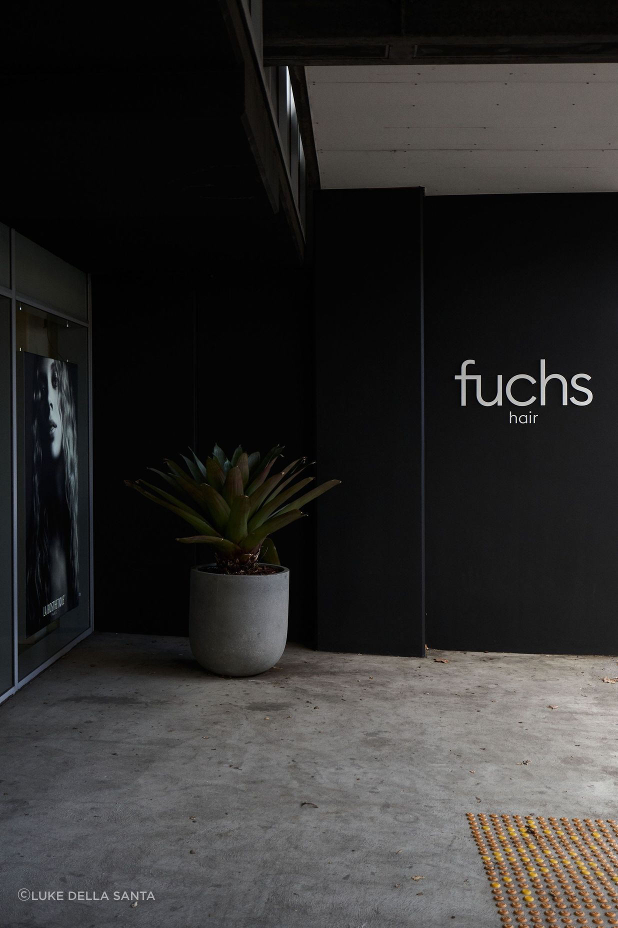 Fuchs