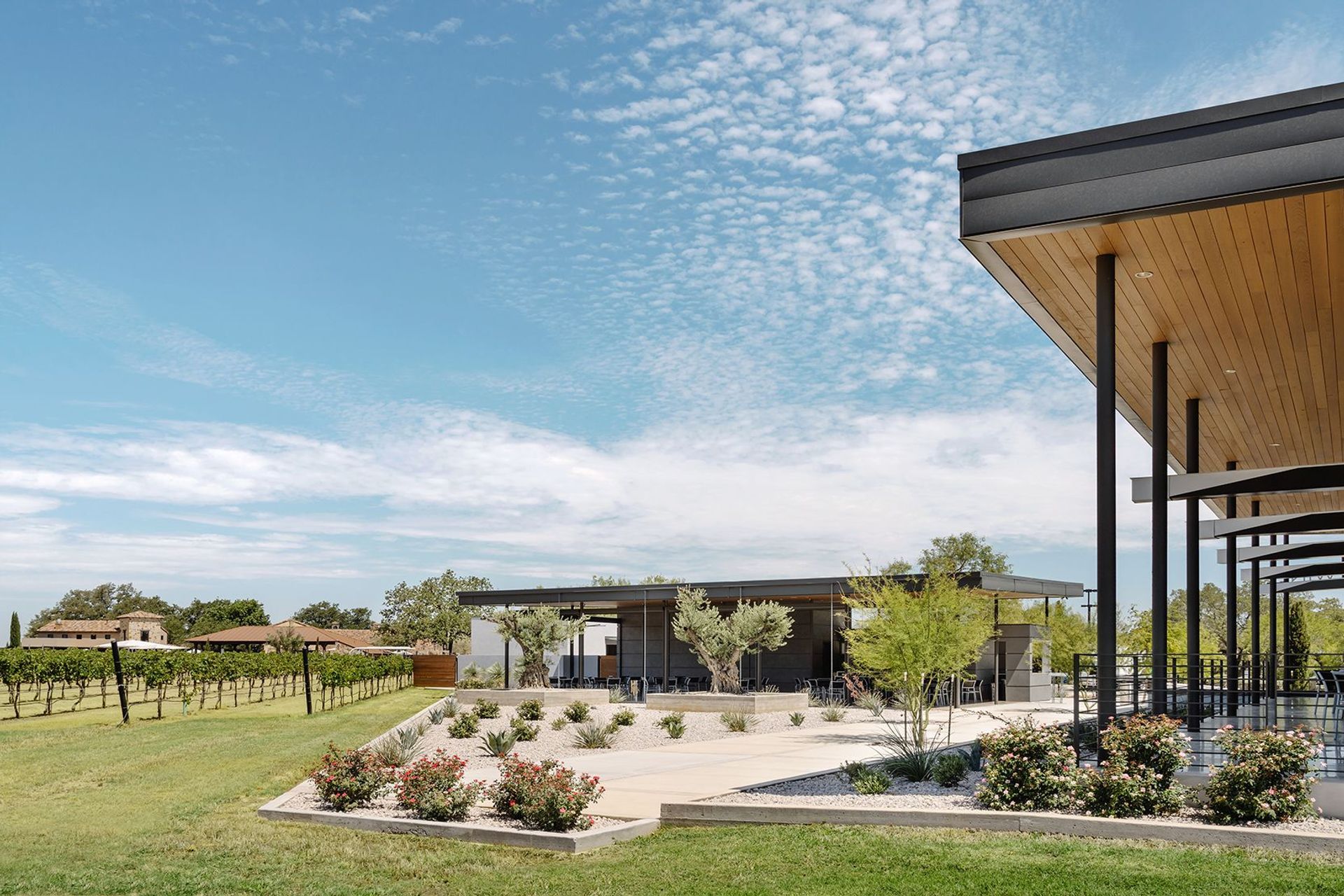 Heath-Sparkling-Wines-ALIGN-Austin-Architects-16.jpg