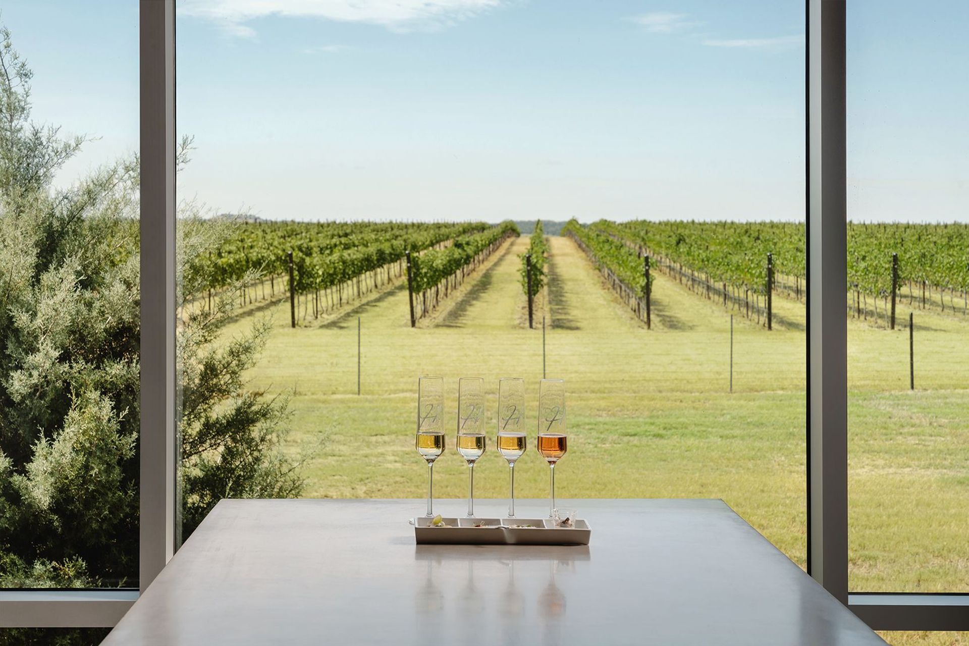 Heath-Sparkling-Wines-ALIGN-Austin-Architects-19.jpg