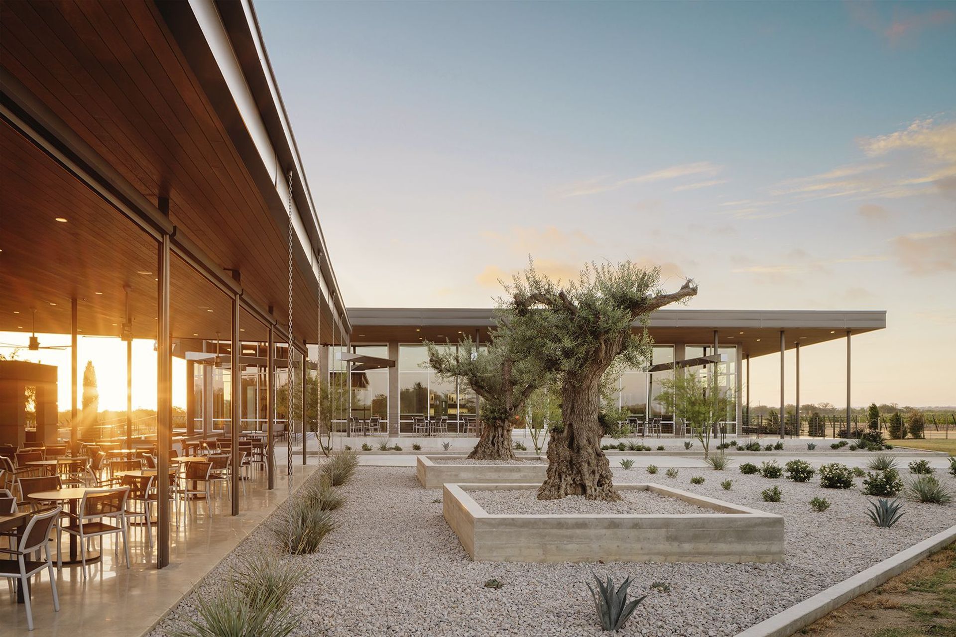Heath-Sparkling-Wines-ALIGN-Austin-Architects-3.jpg