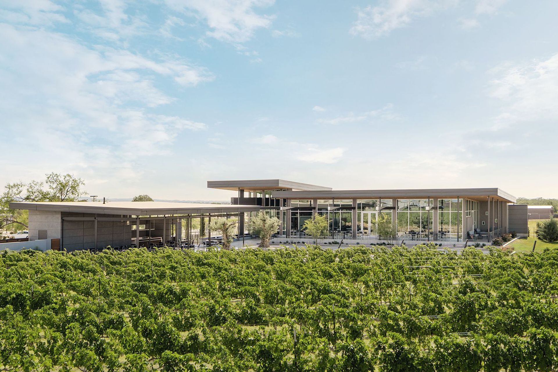 Heath-Sparkling-Wines-ALIGN-Austin-Architects-7.jpg