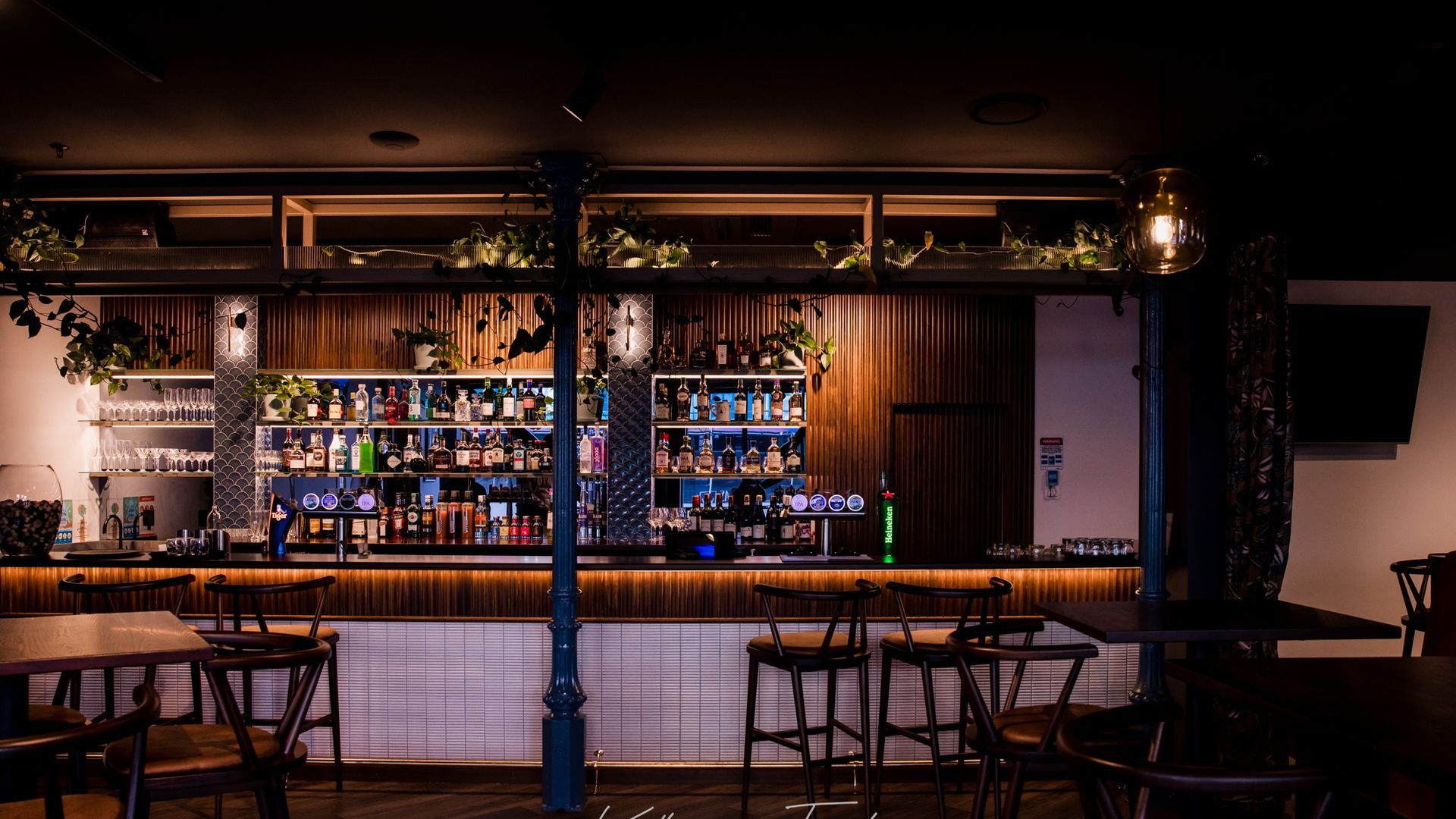 The Hoi Polloi bar area