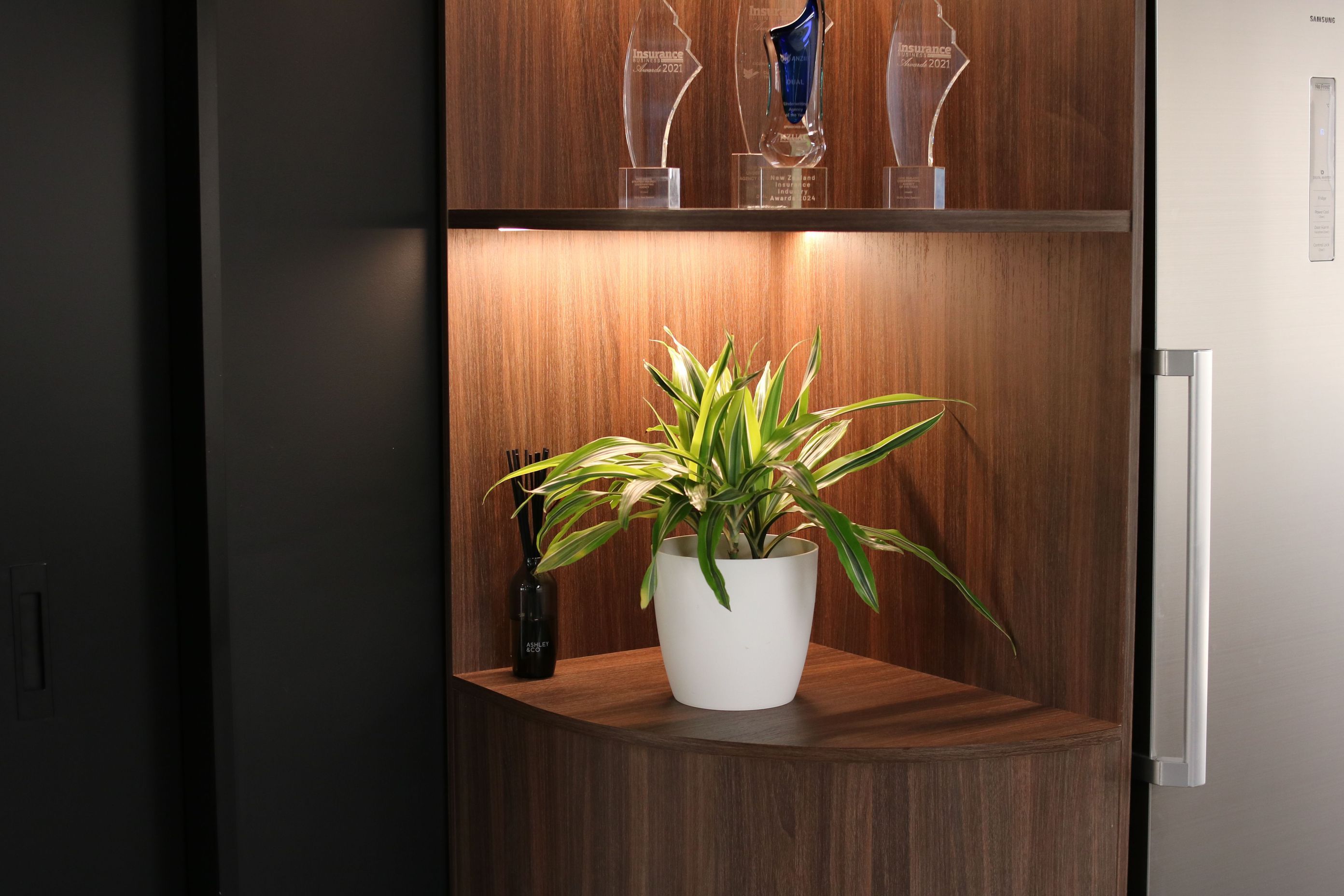 IDR-IEL-Dracaena-Lemon-Lime-in-white-elho-Dual-0525.JPG