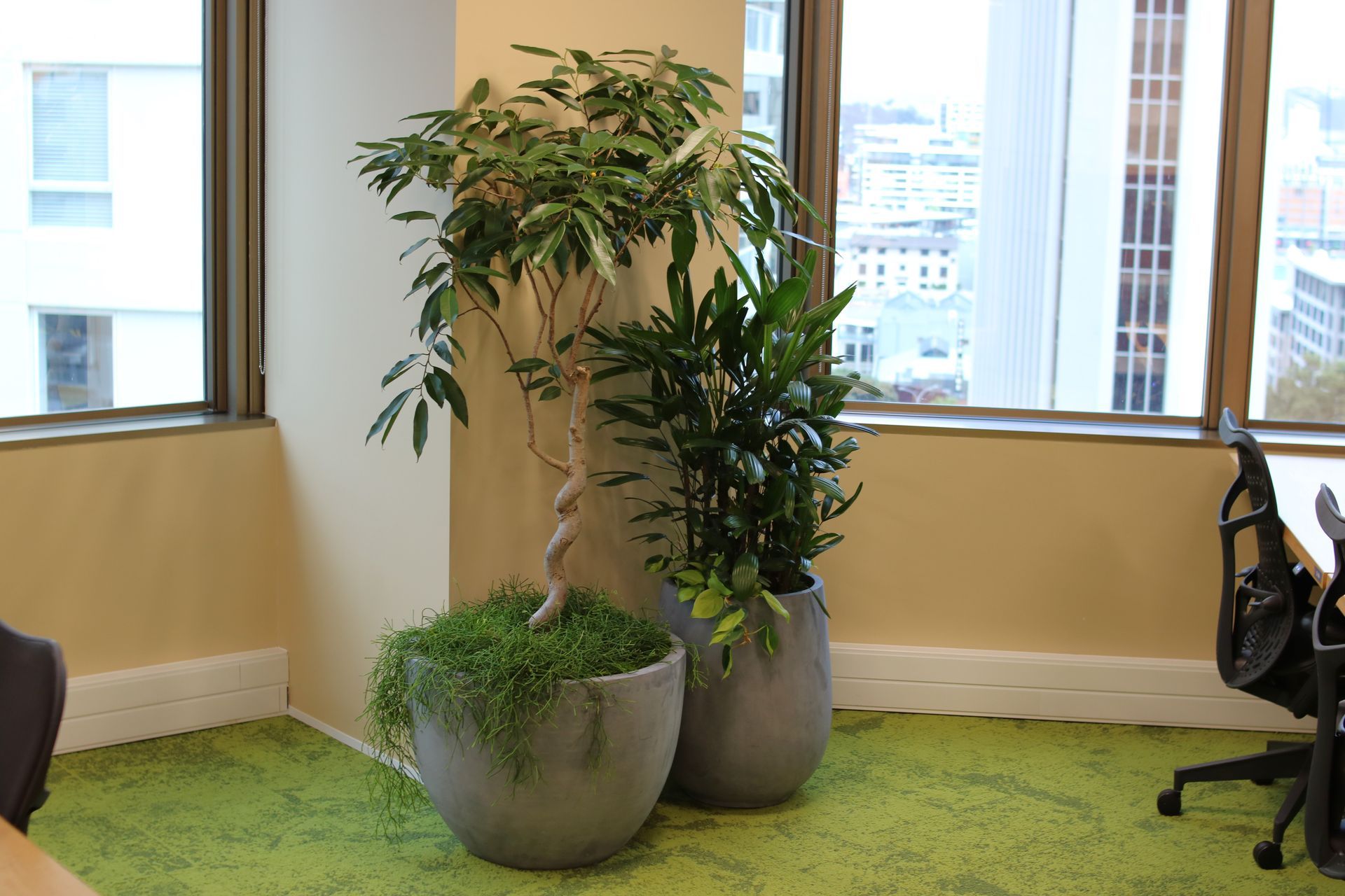 IFO-IPO-CBL-ITR-VRM-plant-grouping-with-underplanting-salesforce-324.JPG