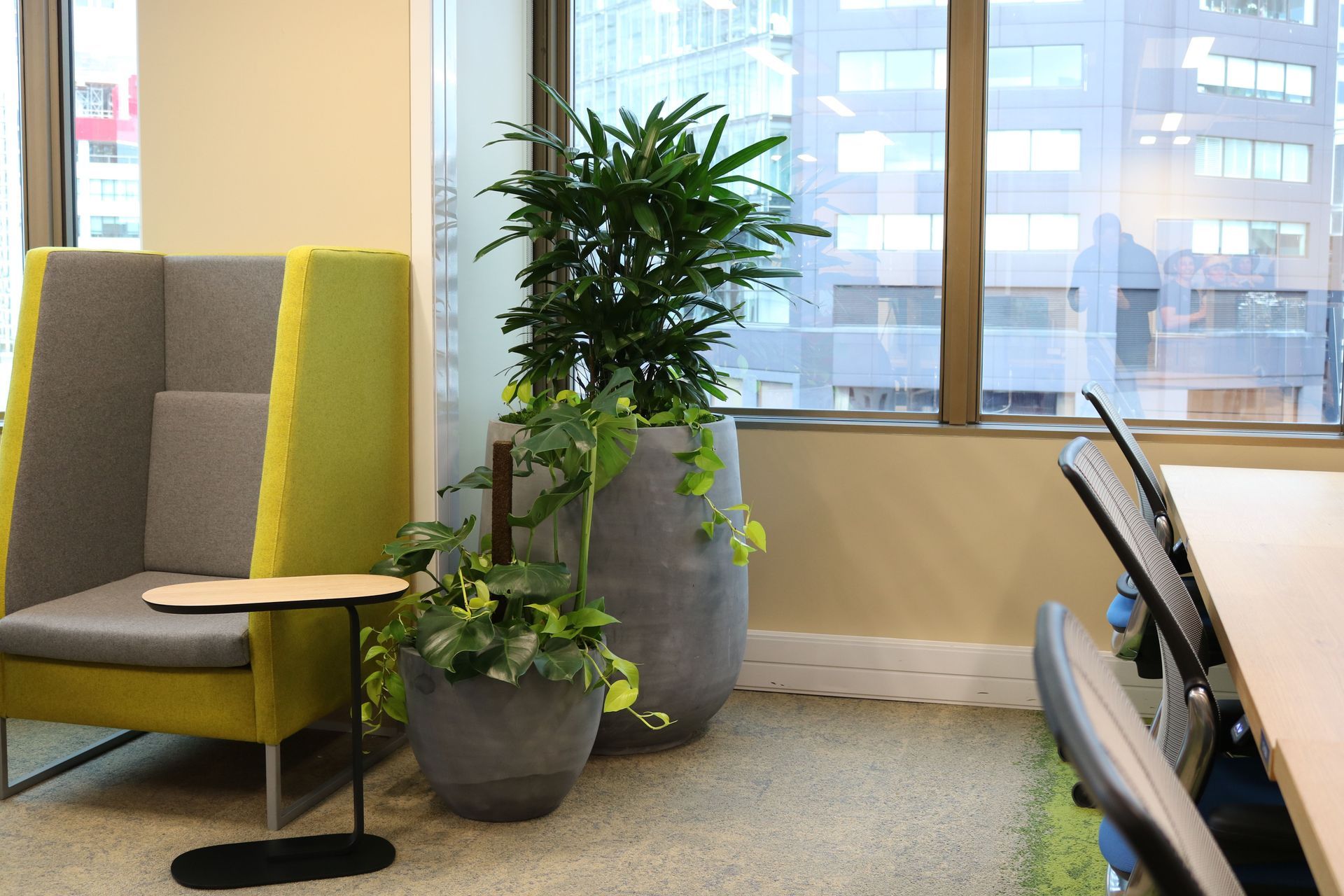 IFP-IPO-CBL-ITR-VRM-plant-grouping-with-underplanting-salesforce-324.JPG