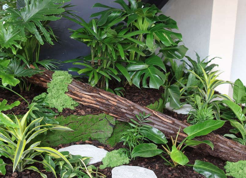 Quantum | Long term hire project