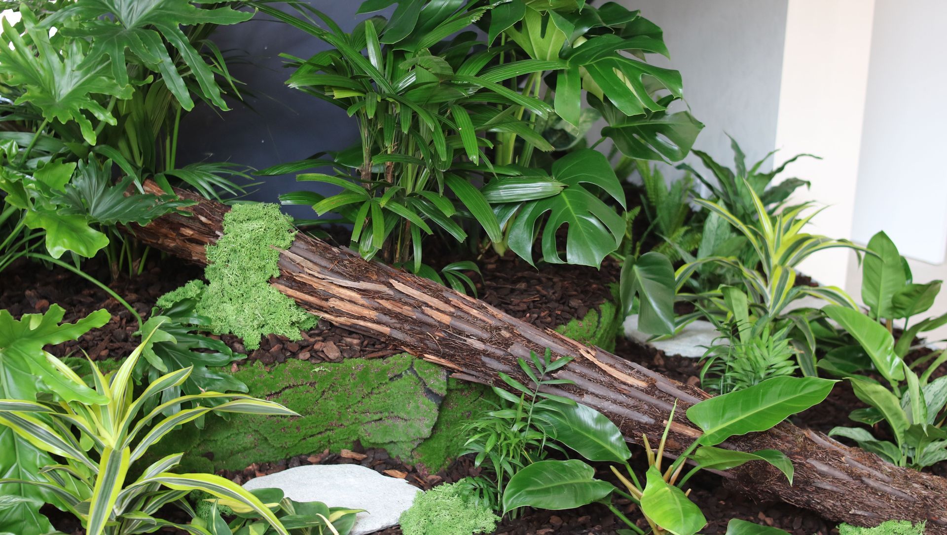 Quantum | Long term hire project banner