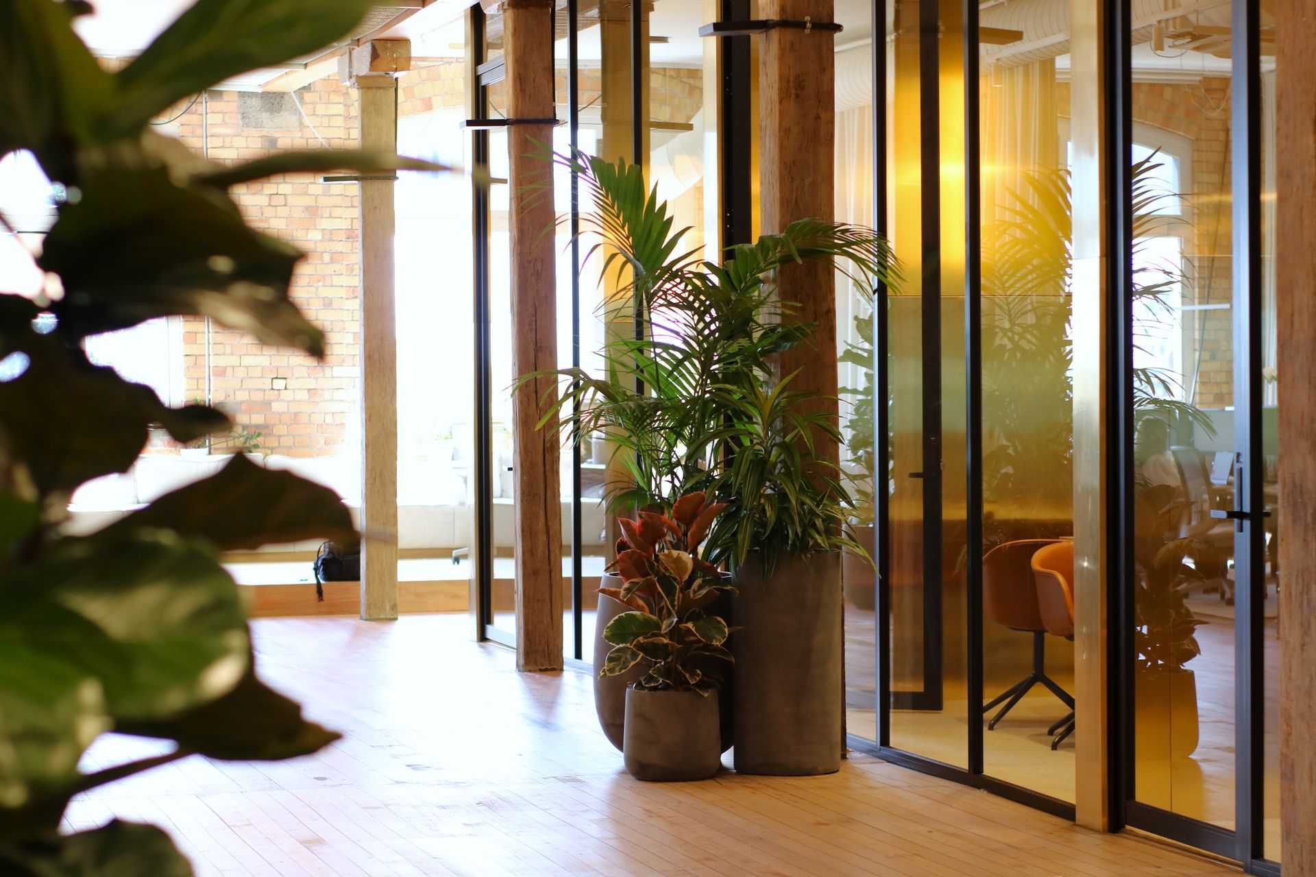 Archipro