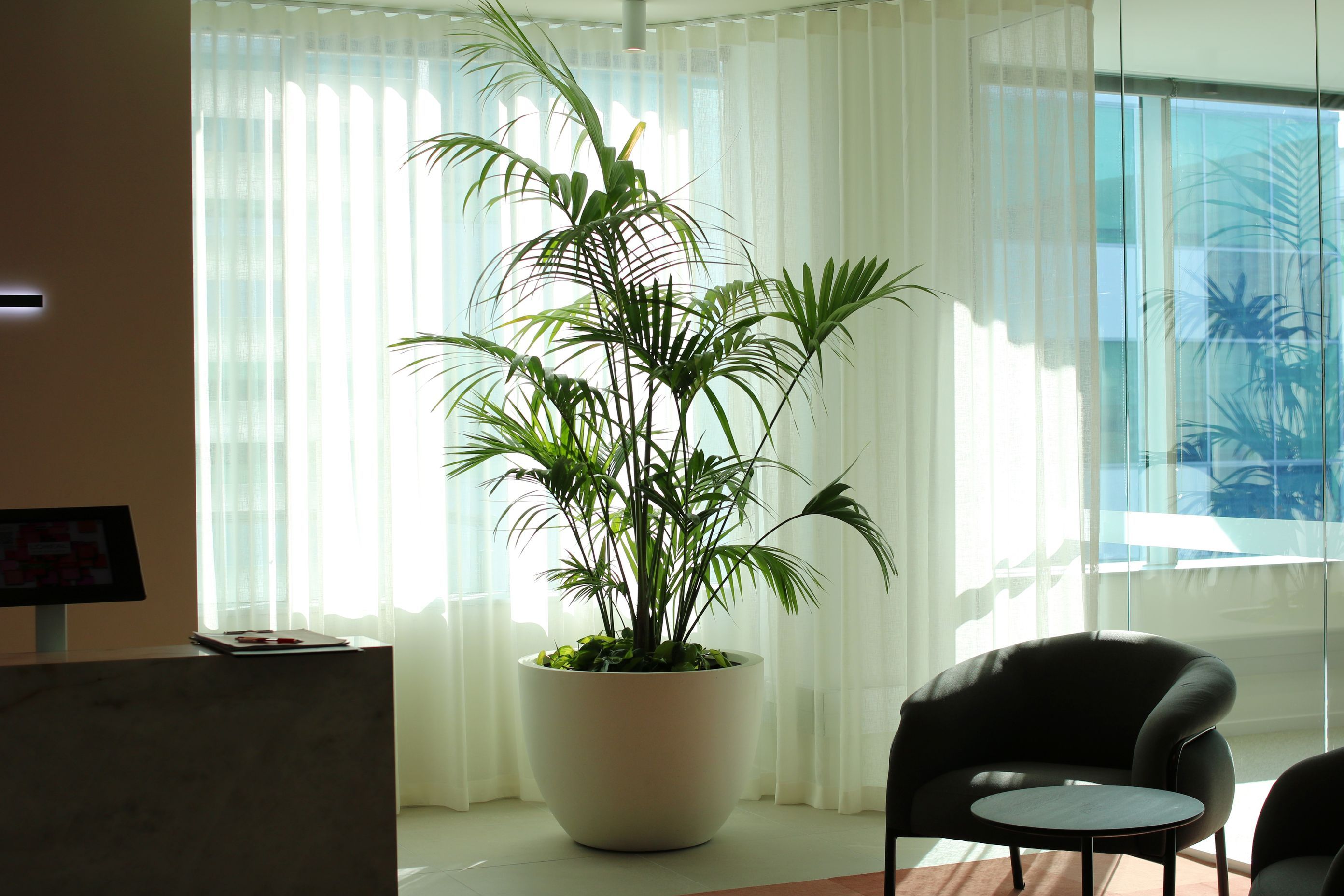 IKP-ITR-CBL-LOral-0625-v3.JPG