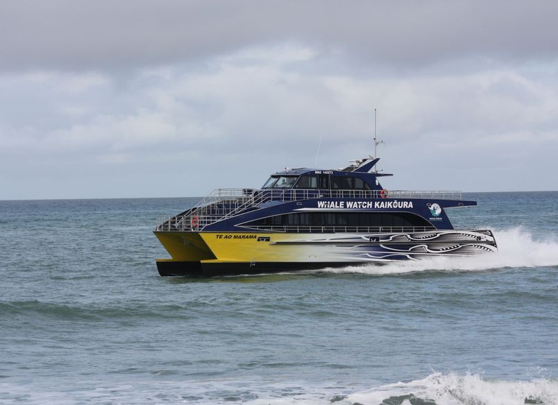 Whale Watch Kaikoura - Te Ao Marama