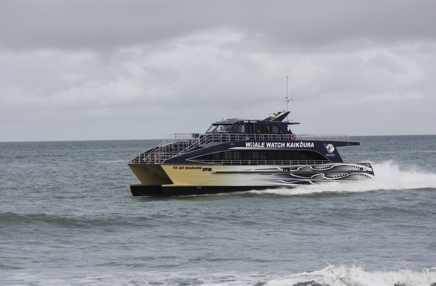 Whale Watch Kaikoura - Te Ao Marama