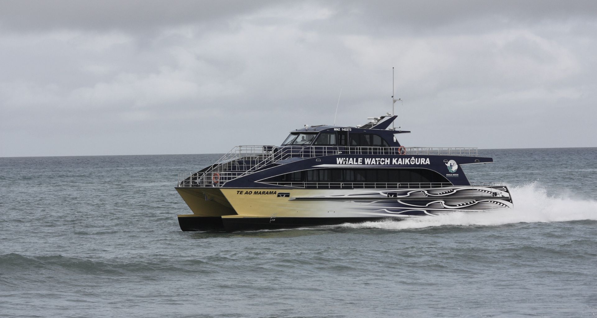 Whale Watch Kaikoura - Te Ao Marama banner