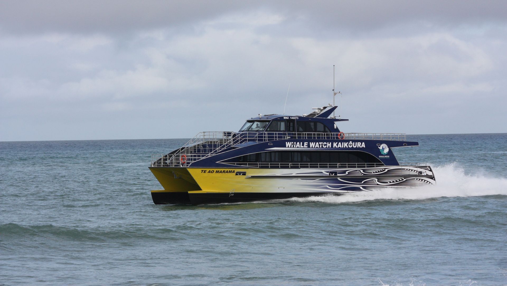Whale Watch Kaikoura - Te Ao Marama banner
