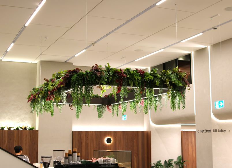 34 Shortland Street - Artificial planting project