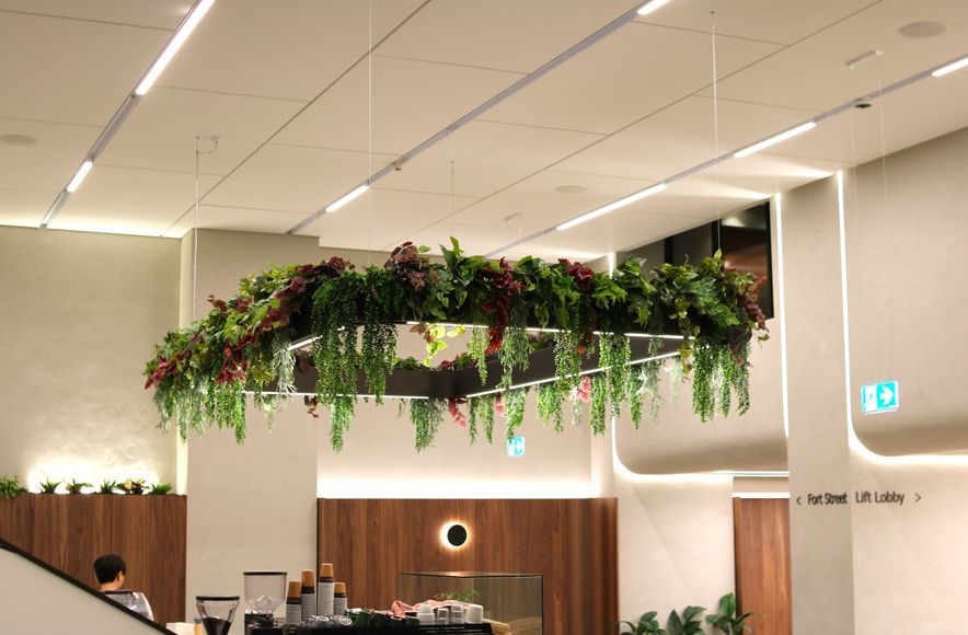 34 Shortland Street - Artificial planting project
