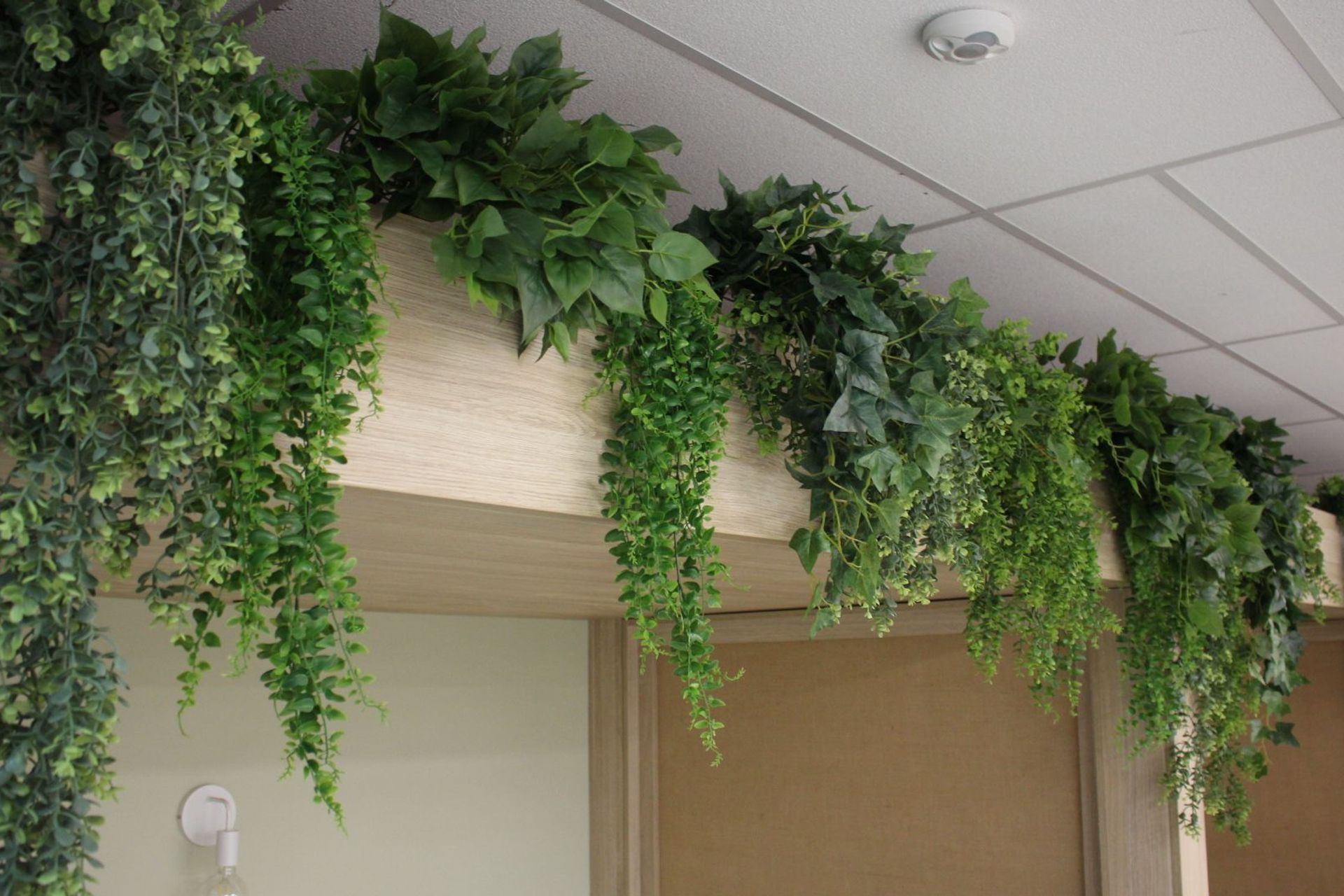 T&amp;G Global - artificial installation