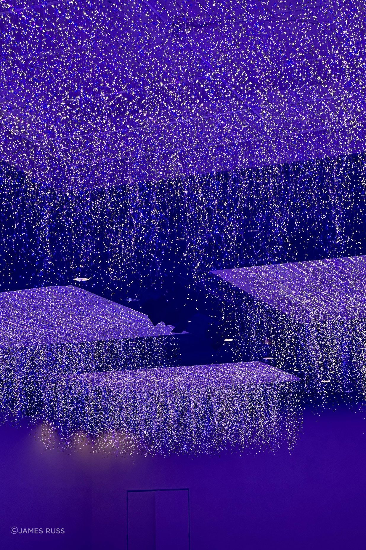 IMG5943.jpg