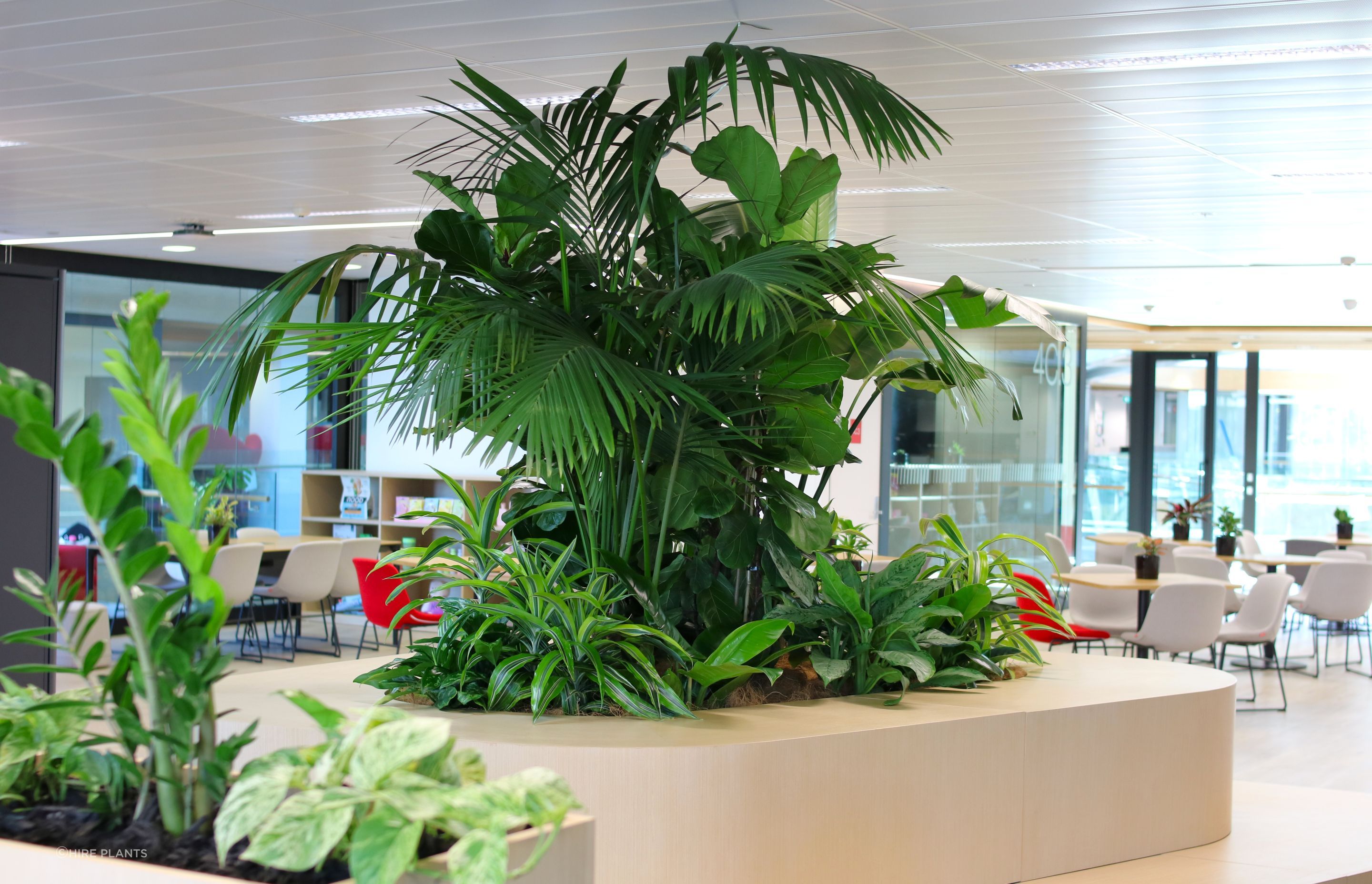 IMG8585.JPG