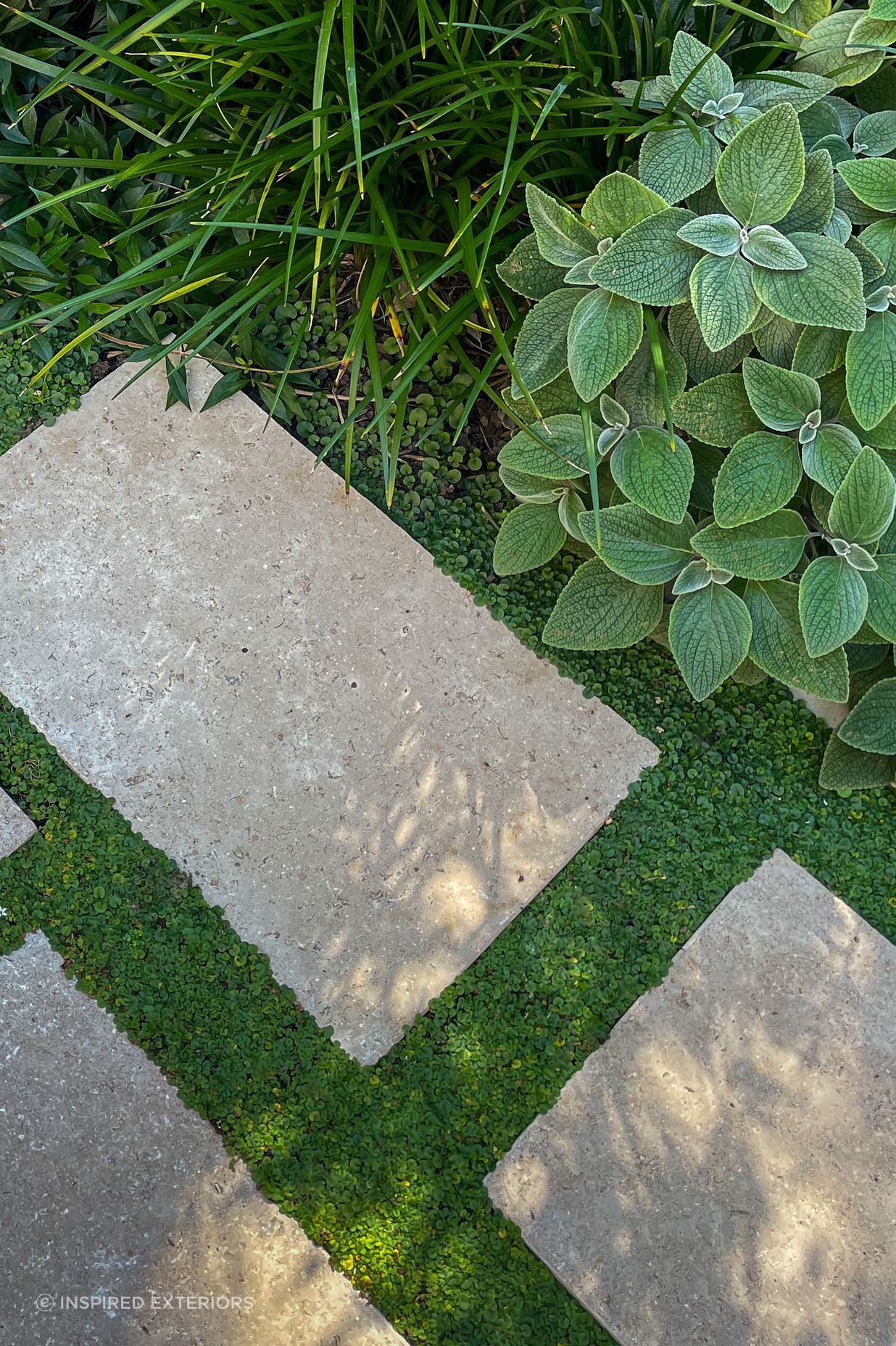IMG9326.jpg