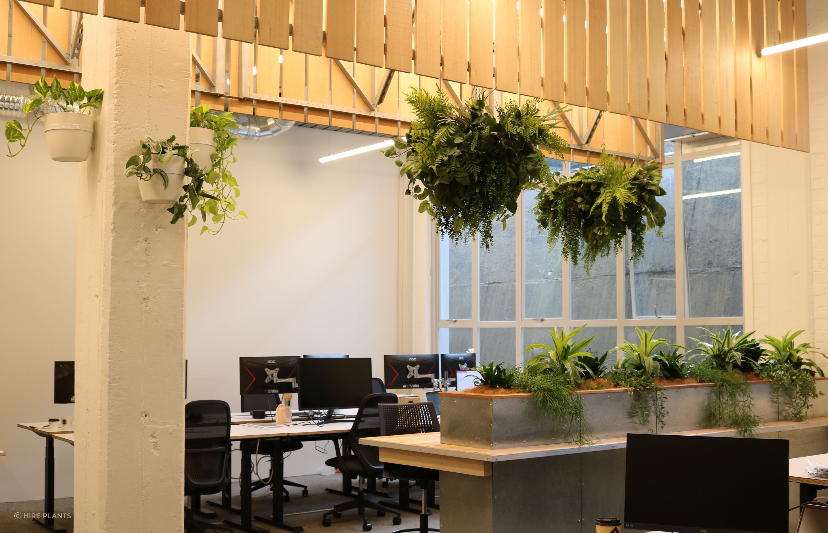 ITR1-VWB1-ARP5-IDR1-Artificial-hanging-baskets-wall-brackets-inbuilt-planter-Ruminant-Biotech-224.JPG