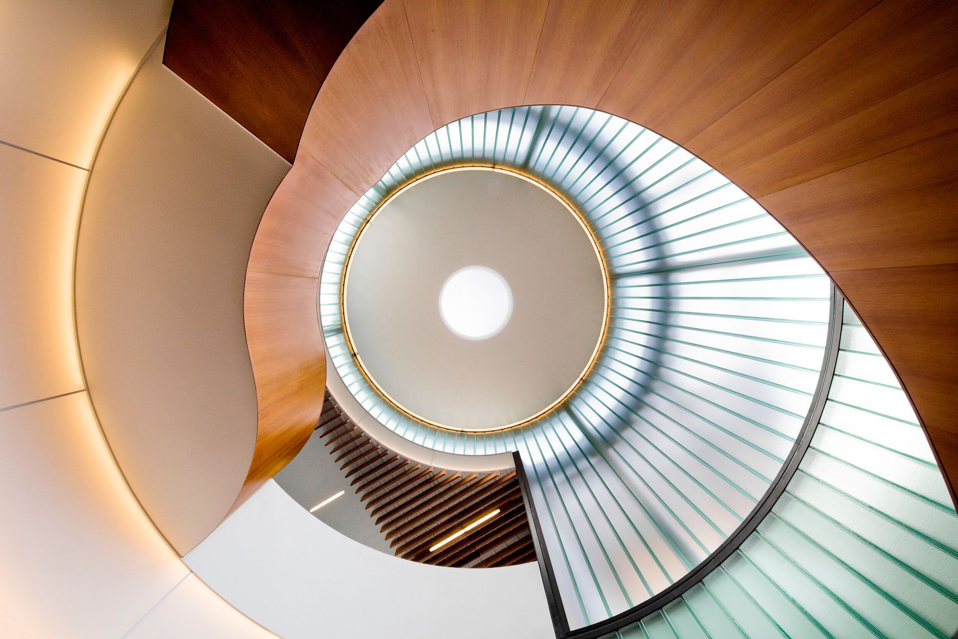 KaporCenter03.jpg
