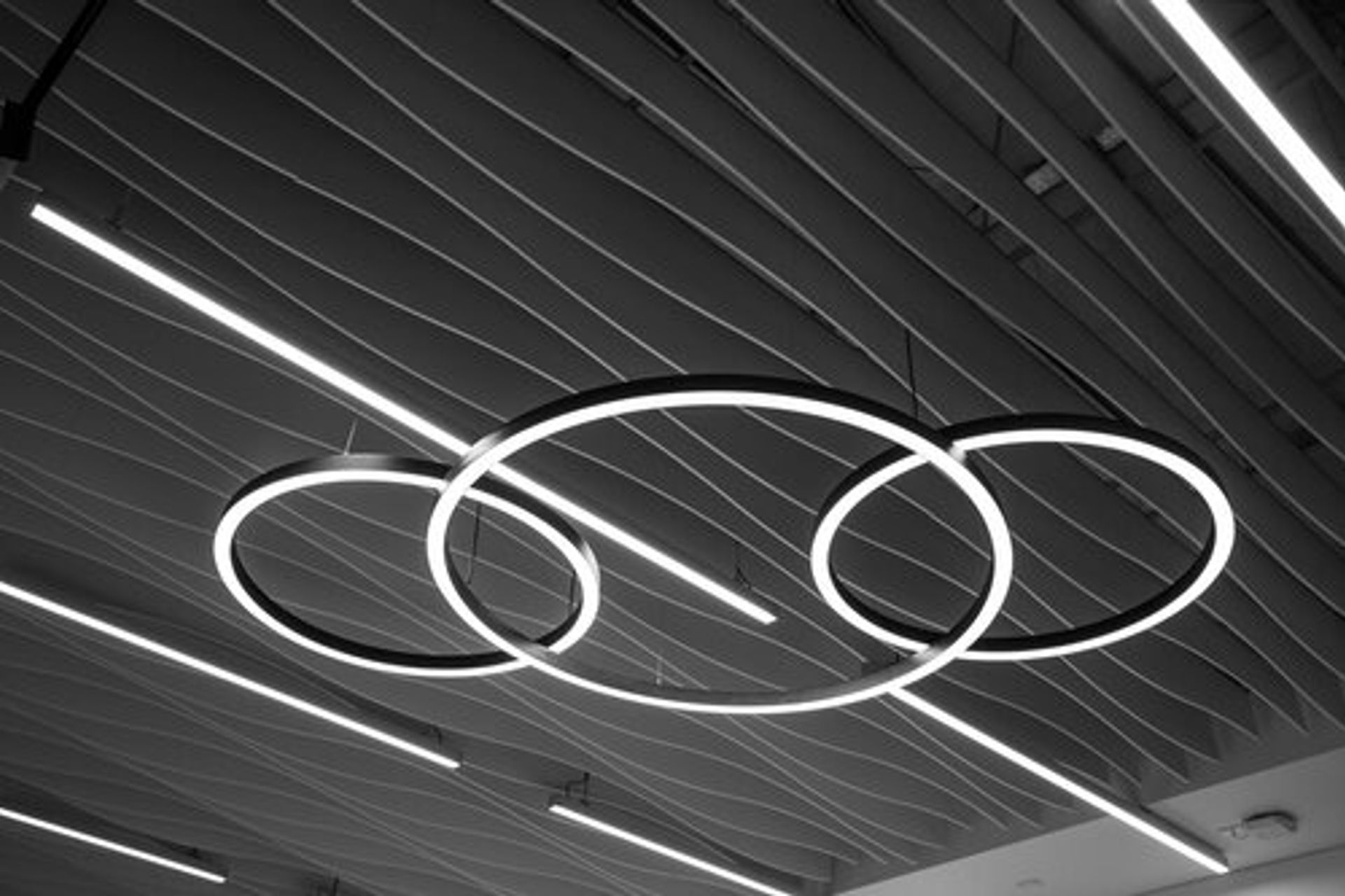 Westhaven Marina Office Fitout