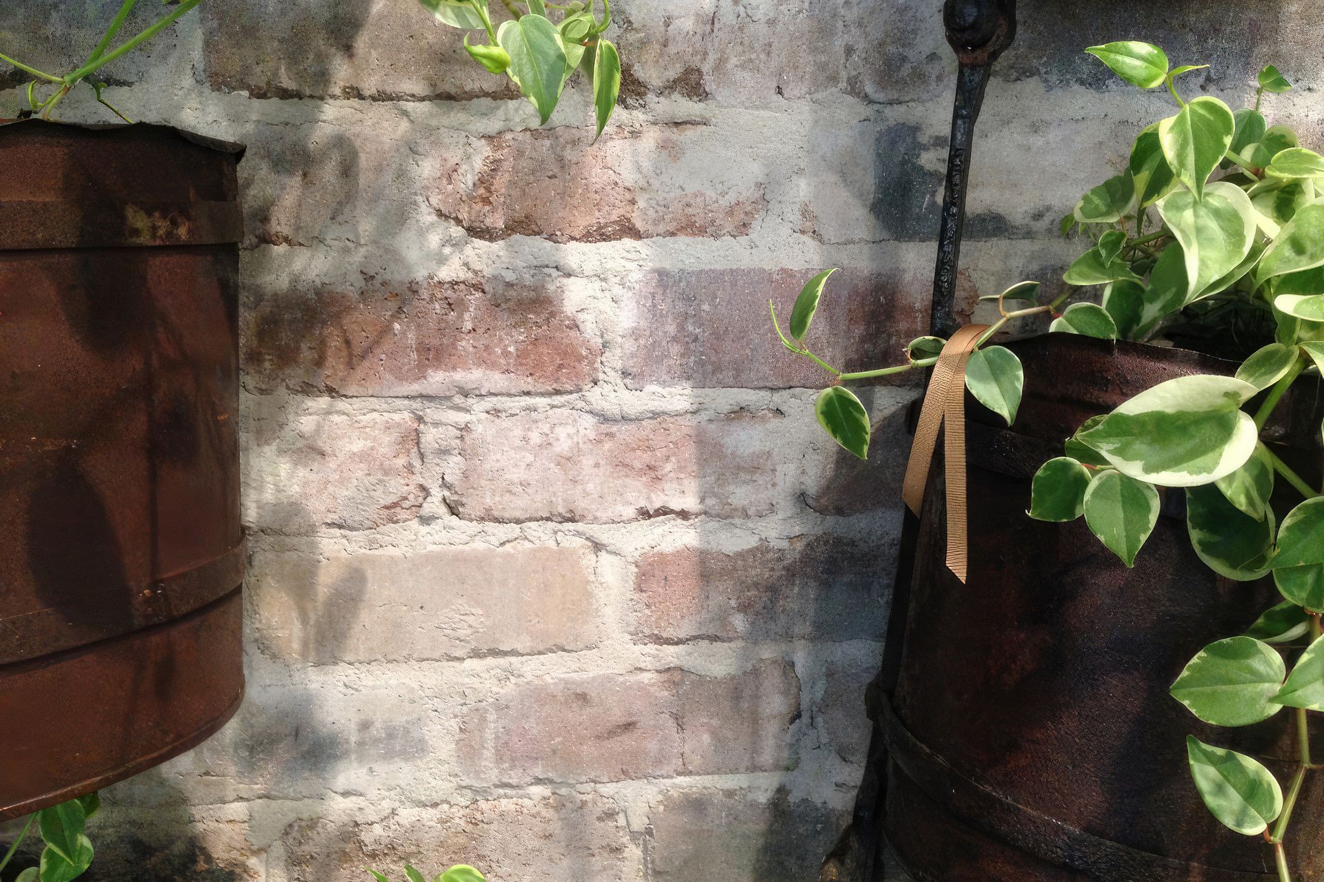 Photography Credit: The Brick Pit