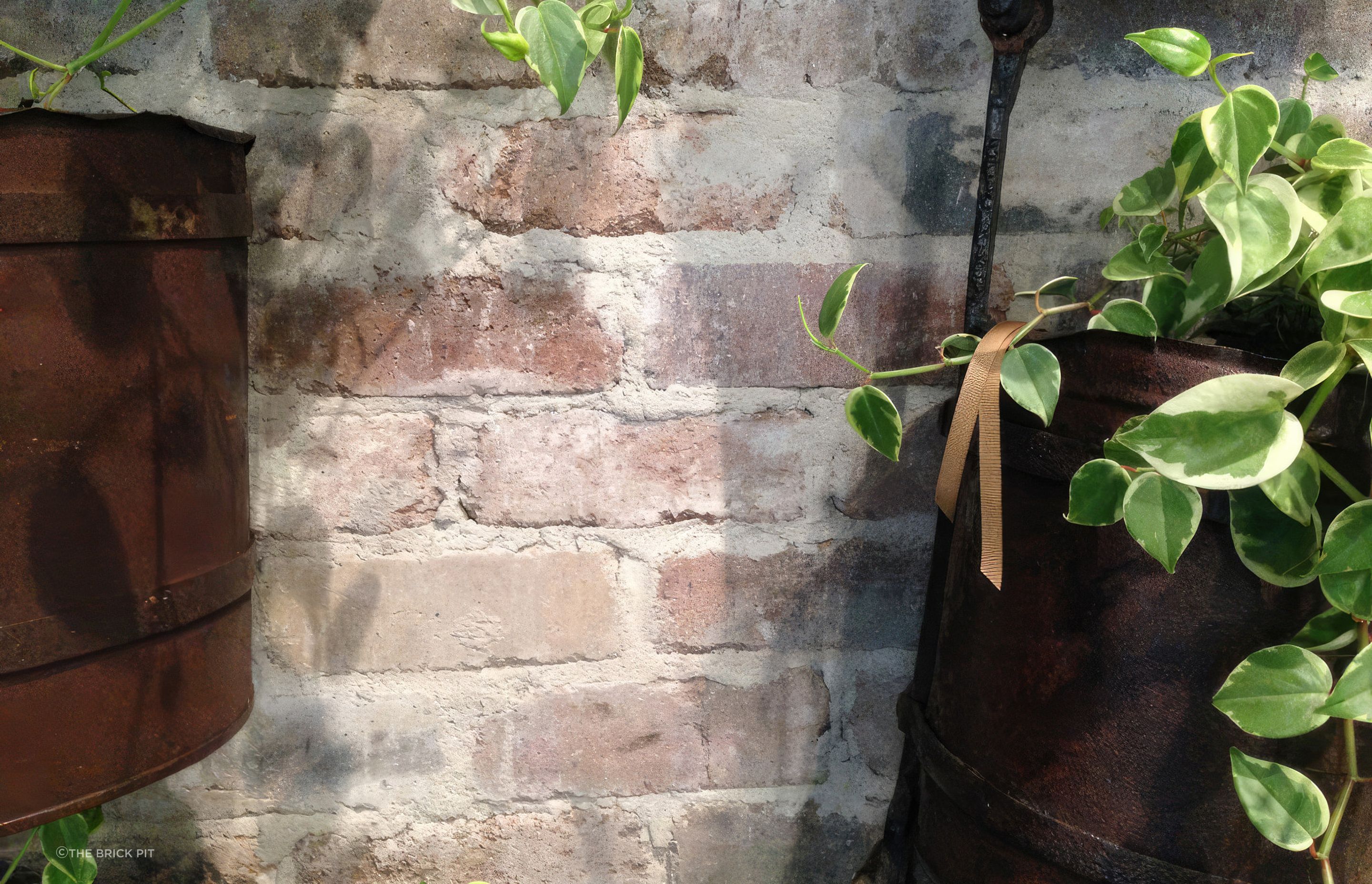 Photography Credit: The Brick Pit