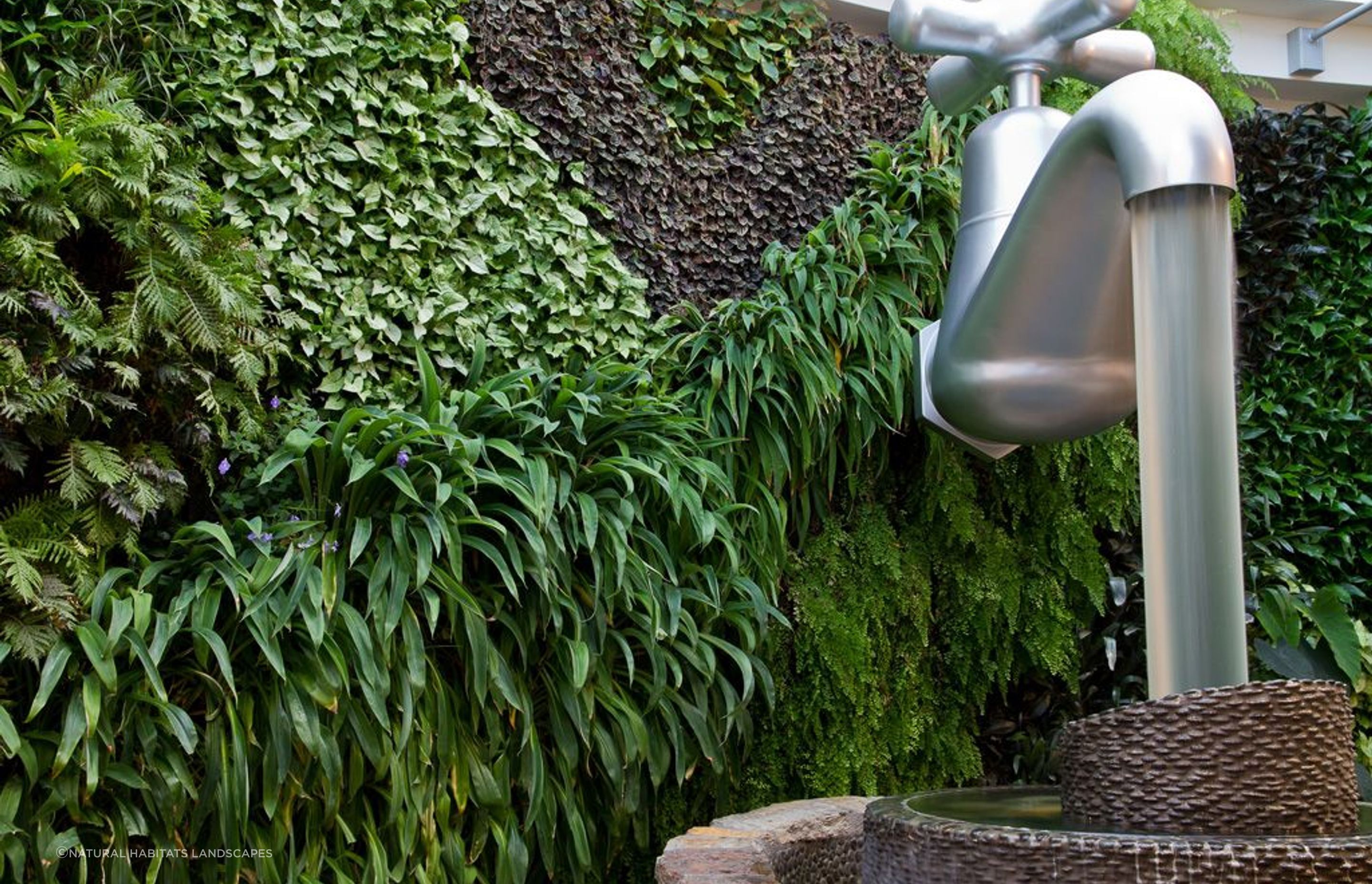 Puzzling World Green Wall