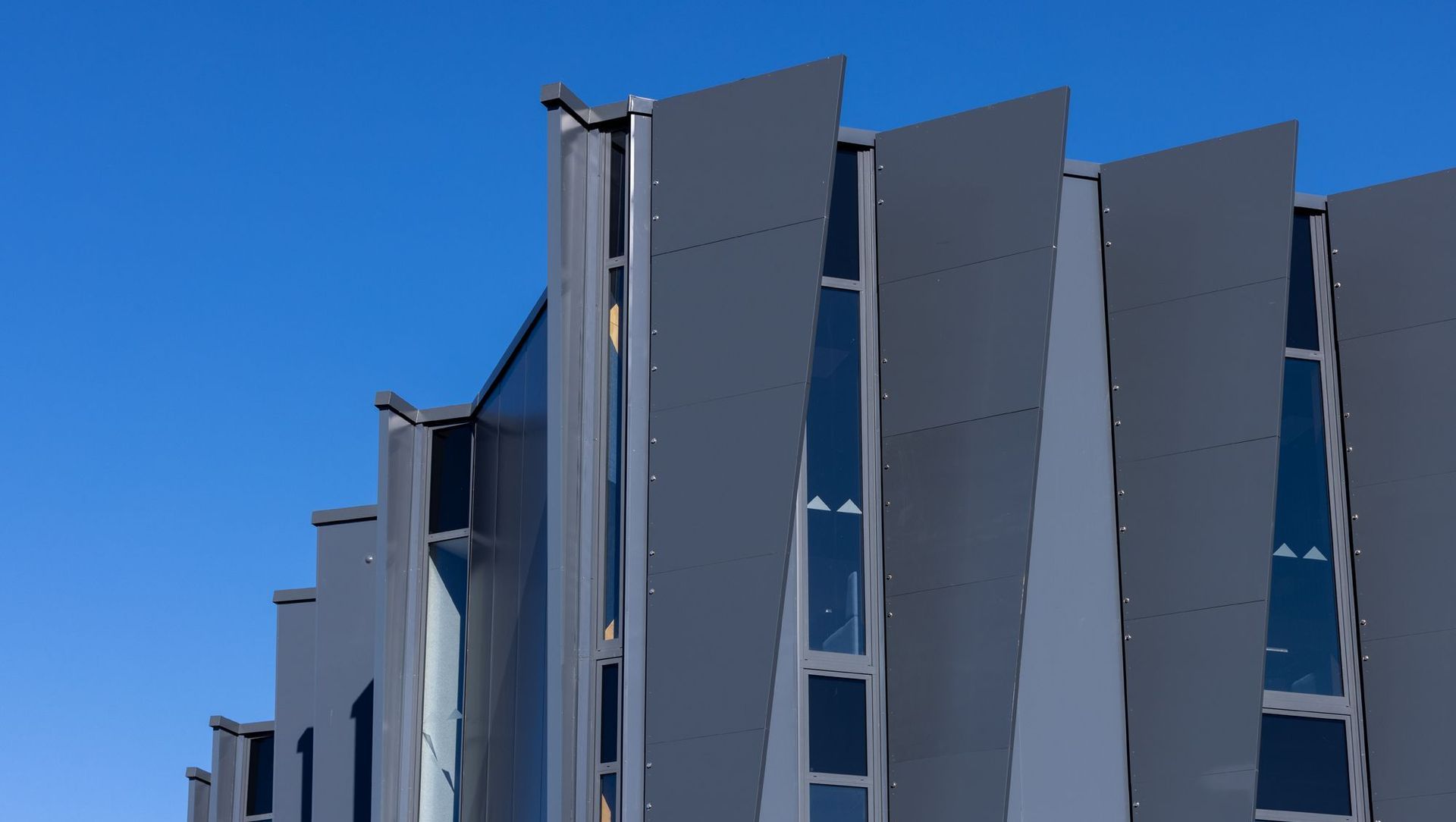 Te Rito o Manaaki ora banner