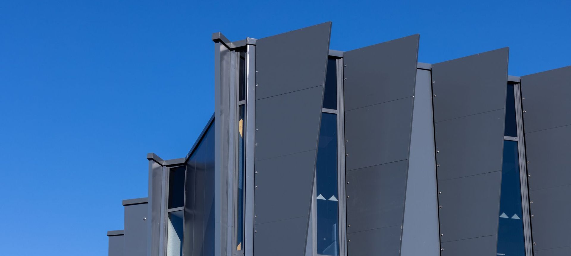 Te Rito o Manaaki ora banner