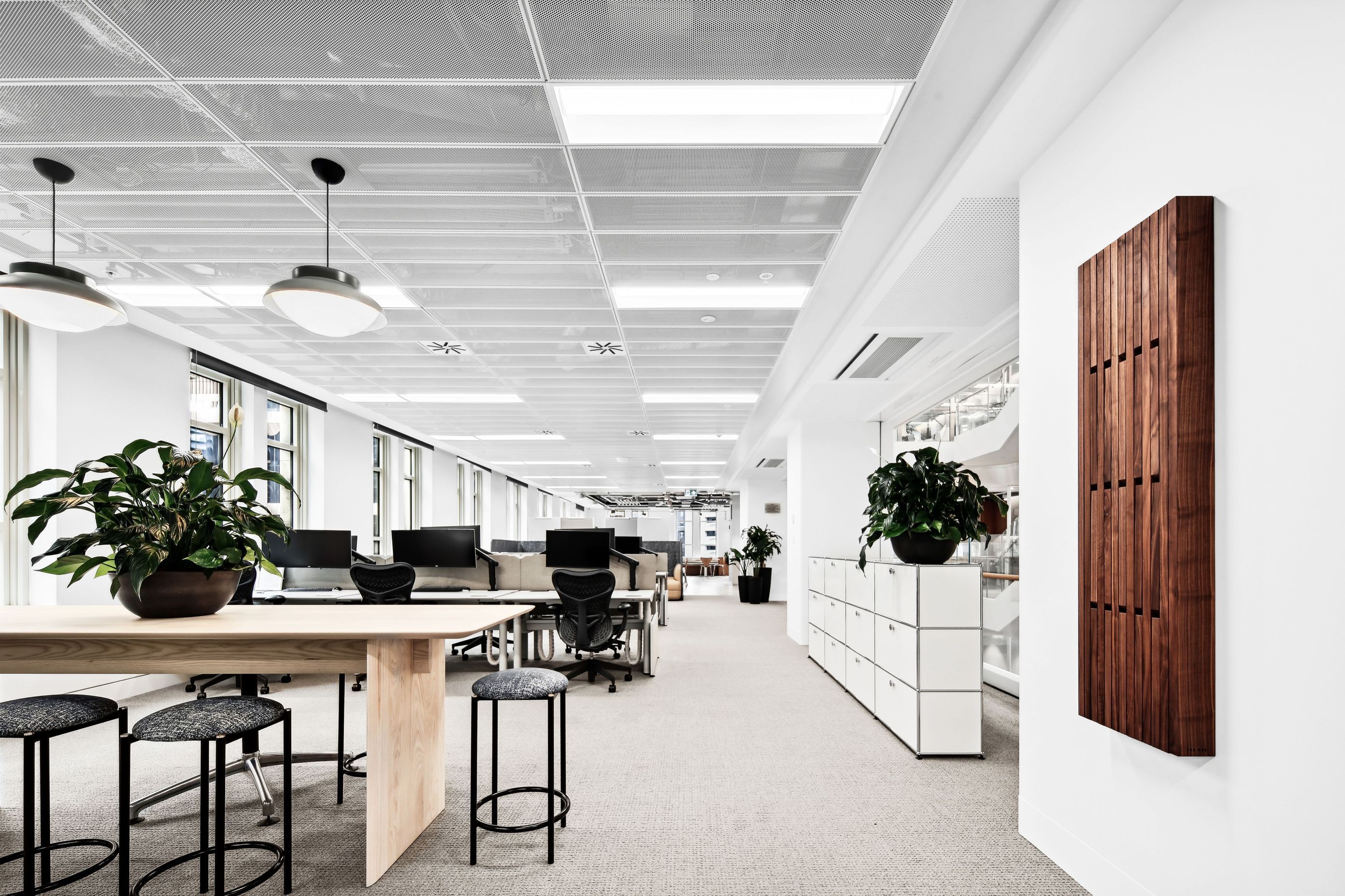 RayWhiteCorporateHeadOfficeHighOffice3.jpg