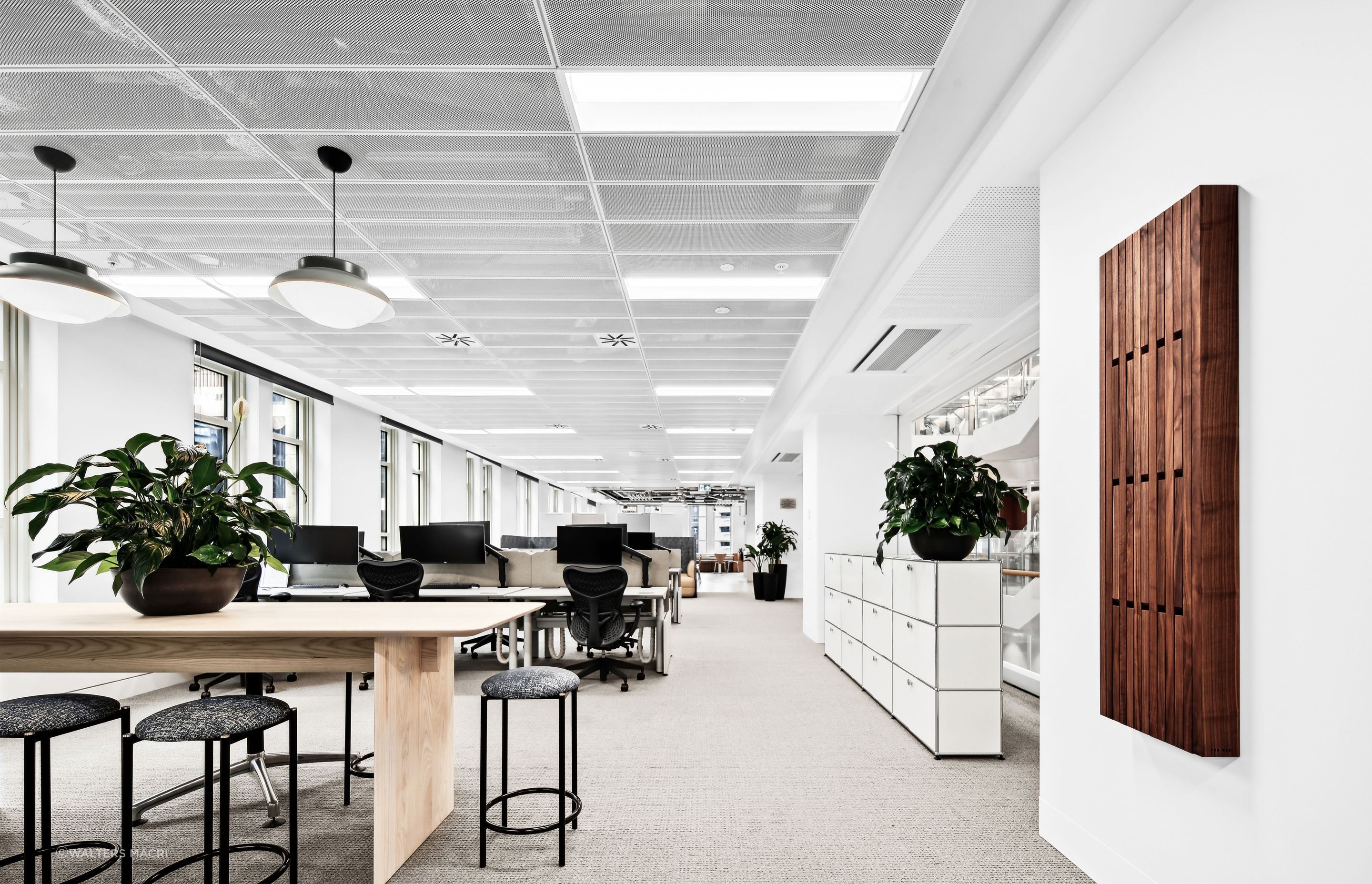 RayWhiteCorporateHeadOfficeHighOffice3.jpg