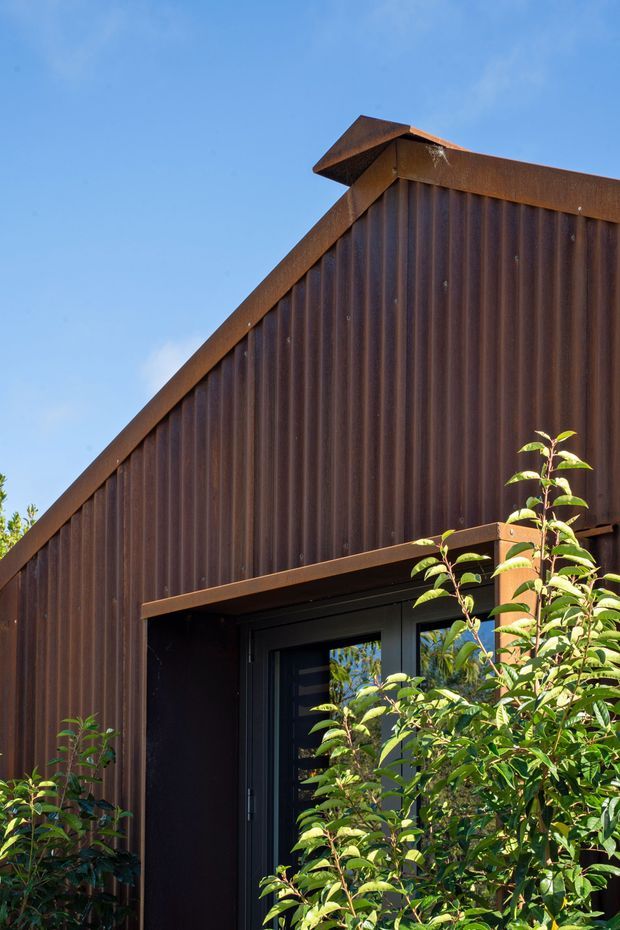 Close-up exterior view of a small contemporary building facade with a steeply sloping gable roof and dark rust-brown corrugated metal cladding. A projecting metal roof edge and dark glazed entry door are partly obscured by green shrubs in bright daylight.