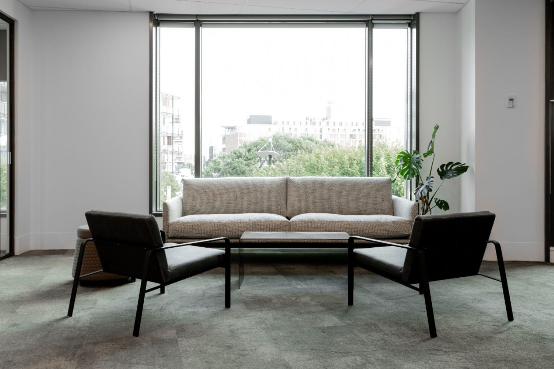 Auckland Real Estate