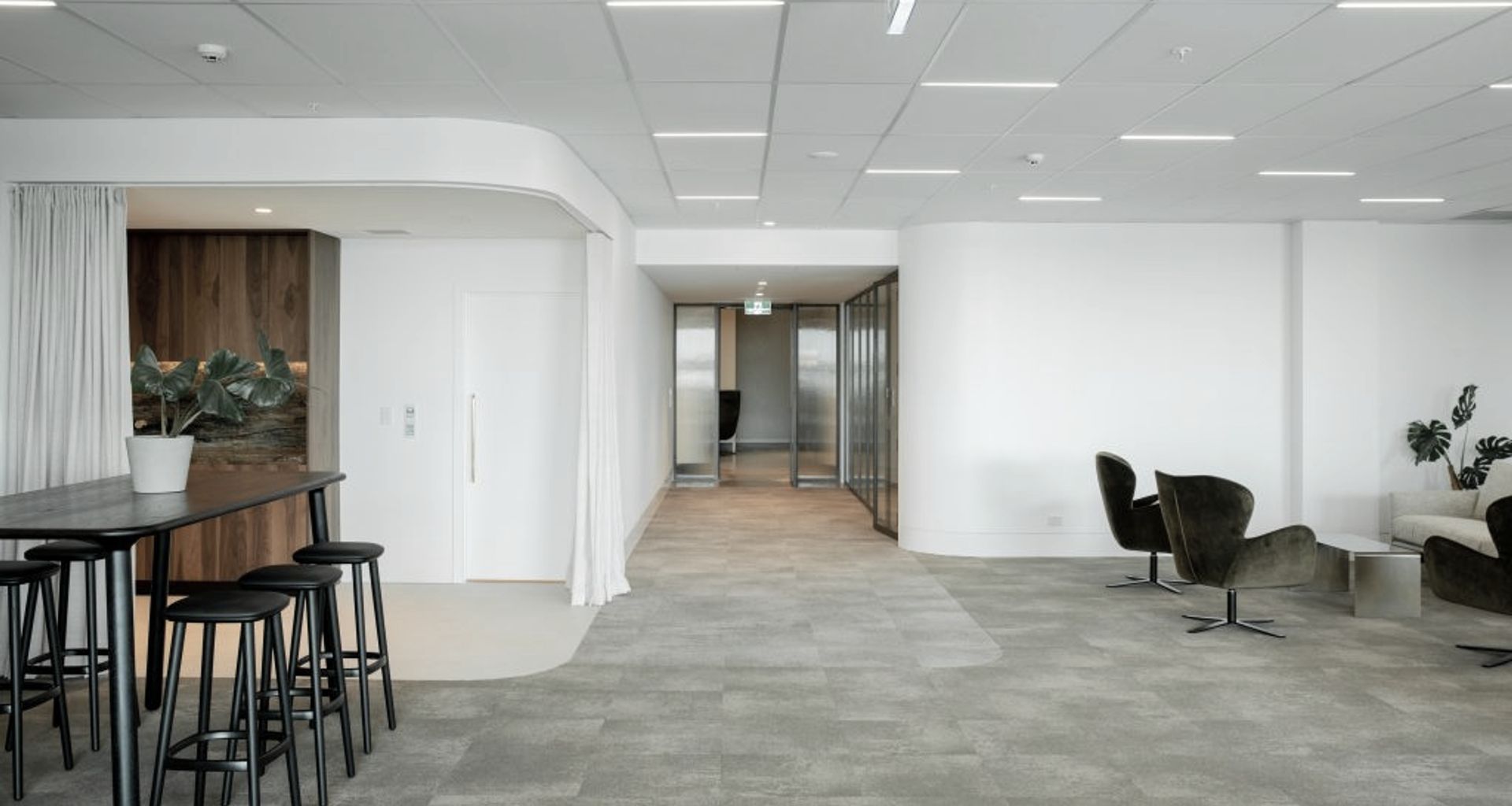 Auckland Real Estate banner