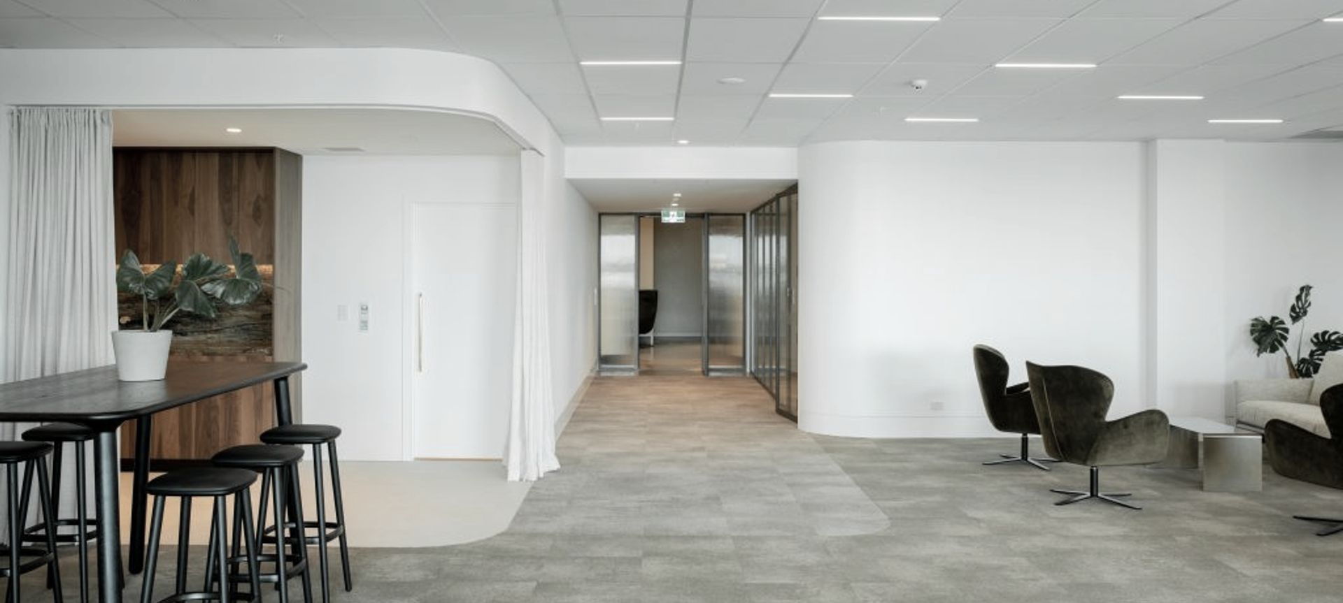 Auckland Real Estate banner