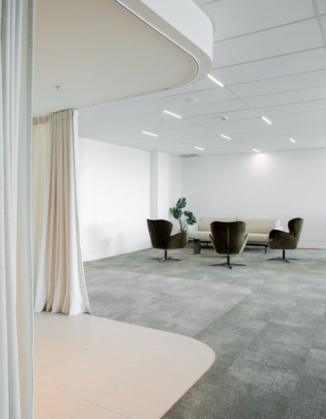 Auckland Real Estate