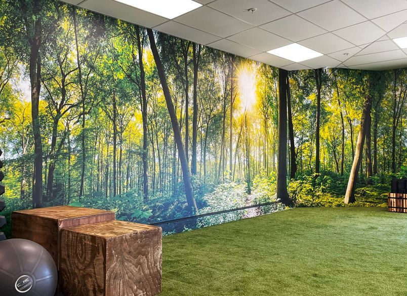 24/7 Fitness – Biophilic Design for Wellness