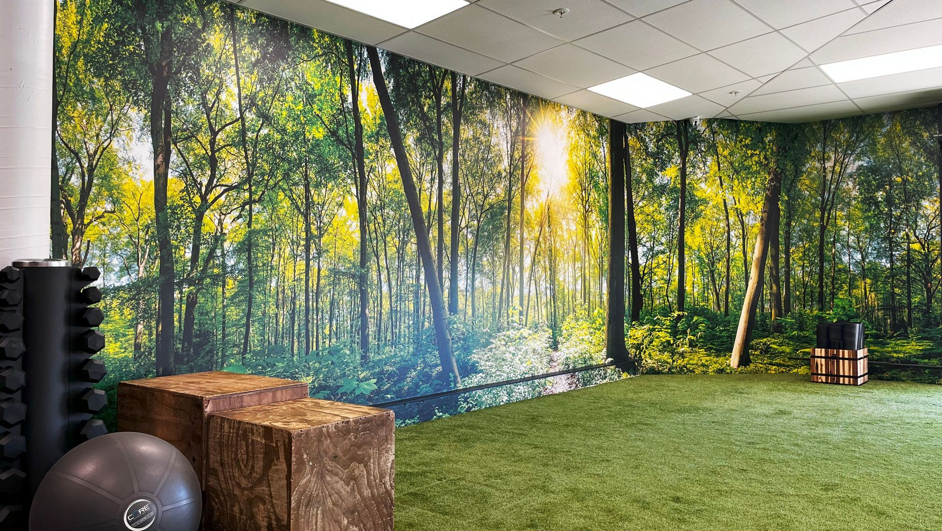 24/7 Fitness – Biophilic Design for Wellness banner