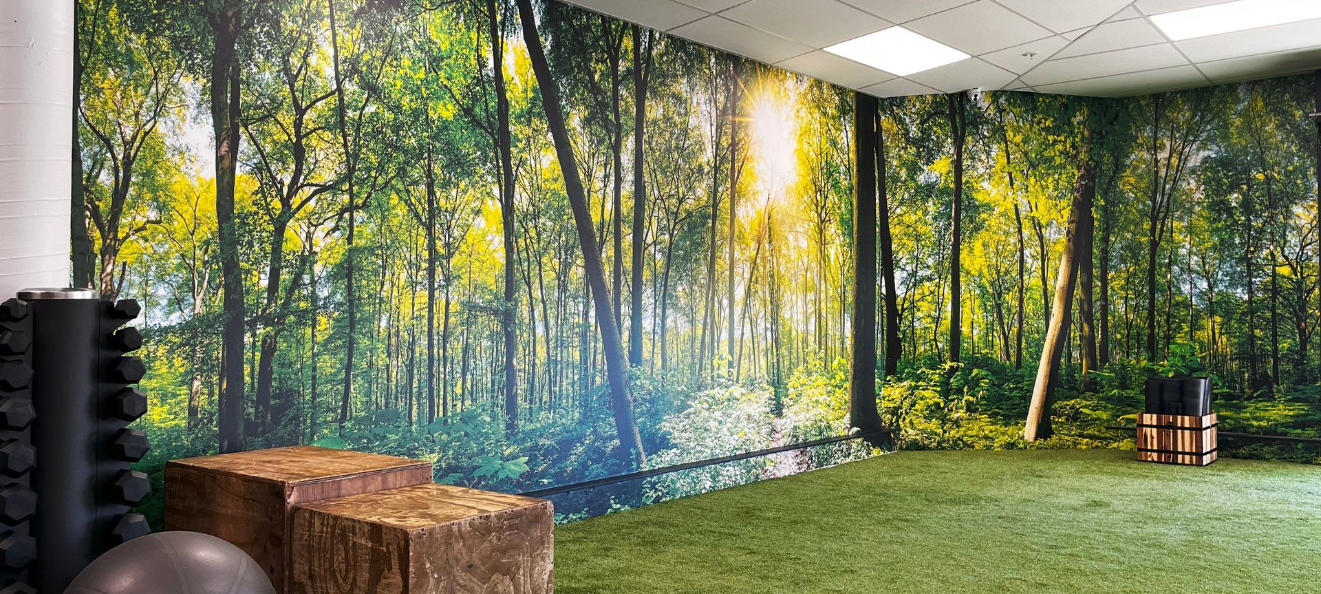 24/7 Fitness – Biophilic Design for Wellness banner
