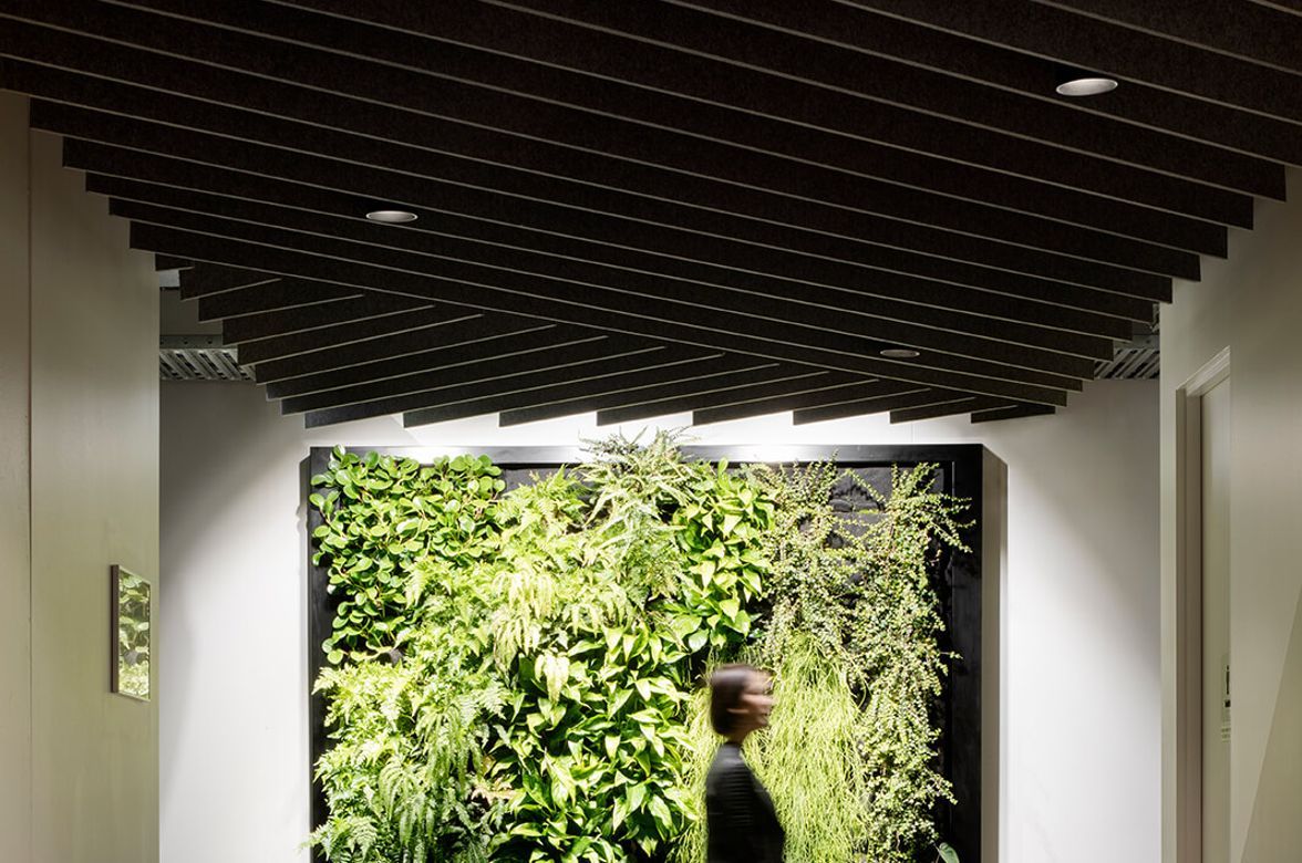 South Melbourne Business Hub