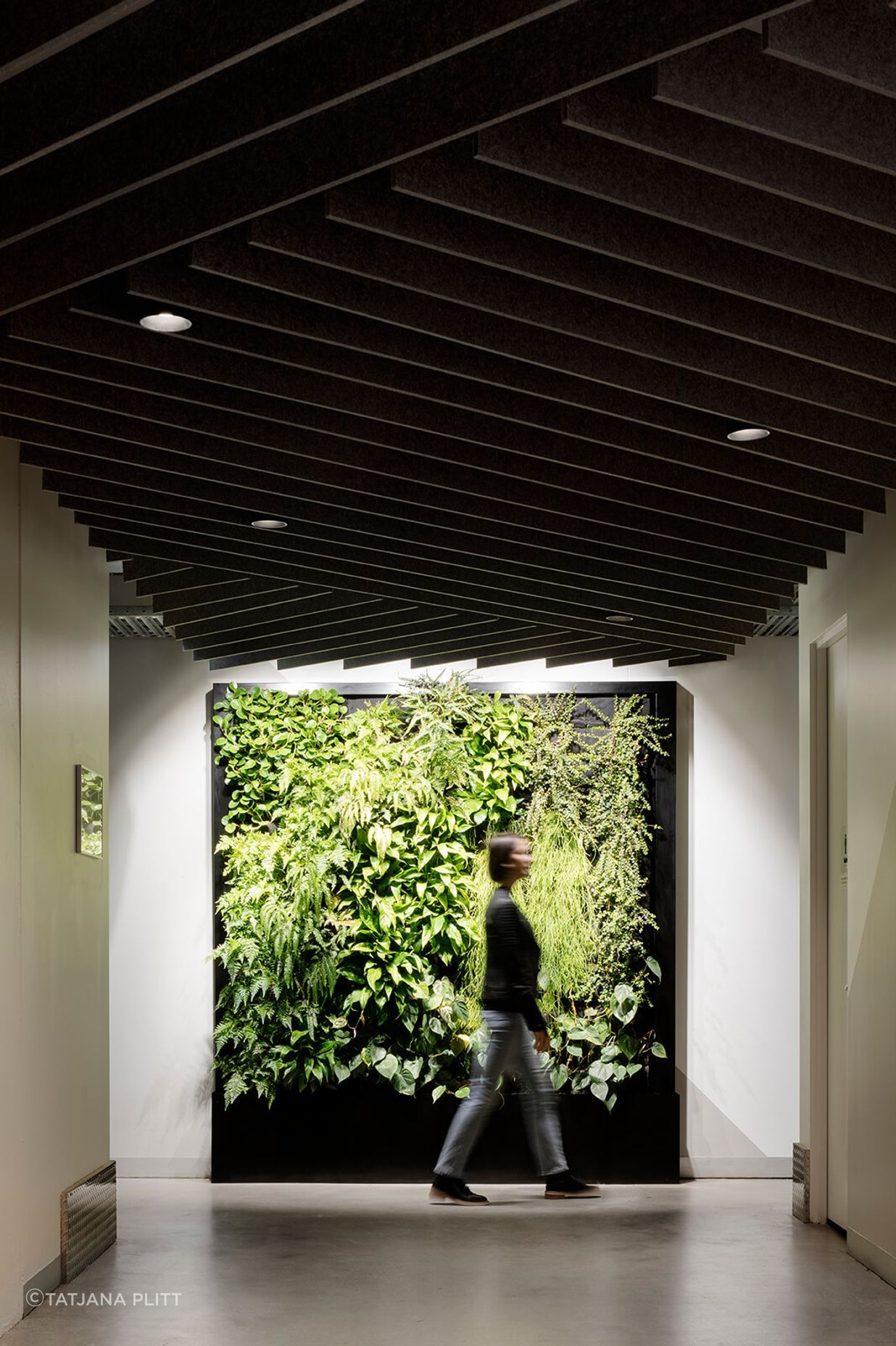 South Melbourne Business Hub