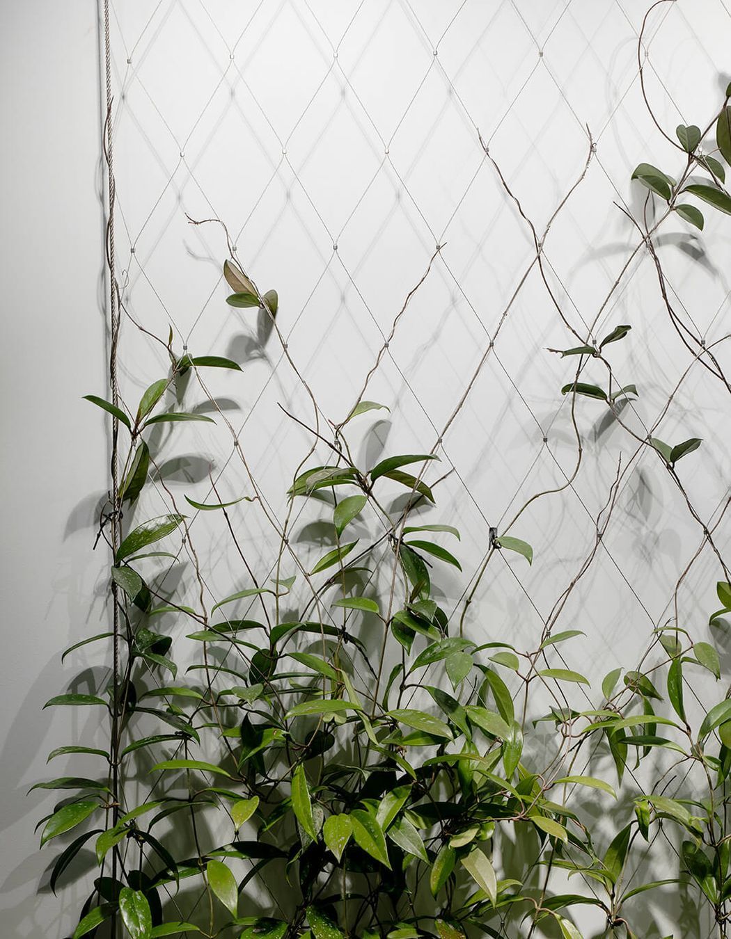 South Melbourne Business Hub