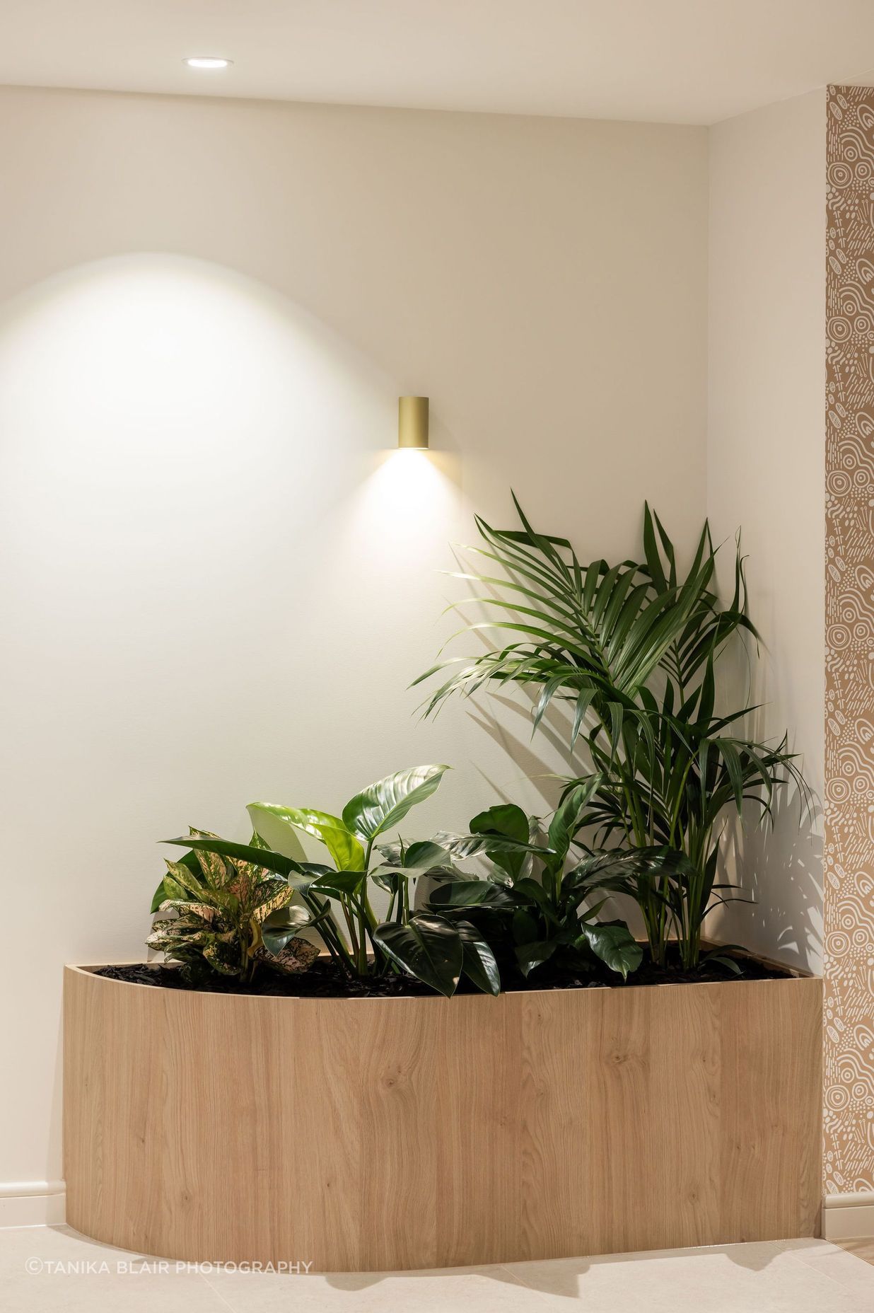 Tanika-Blair-Photography-Gray-Puksand-Cormwell-Workspaces-Brisbane-Commercial-Interior-Design-58-v4.jpg