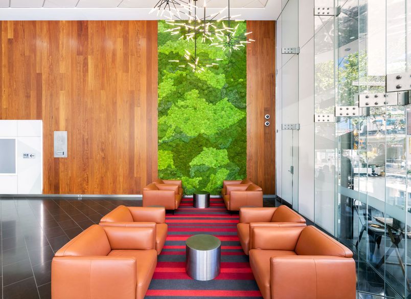 Easygreen Moss Wall