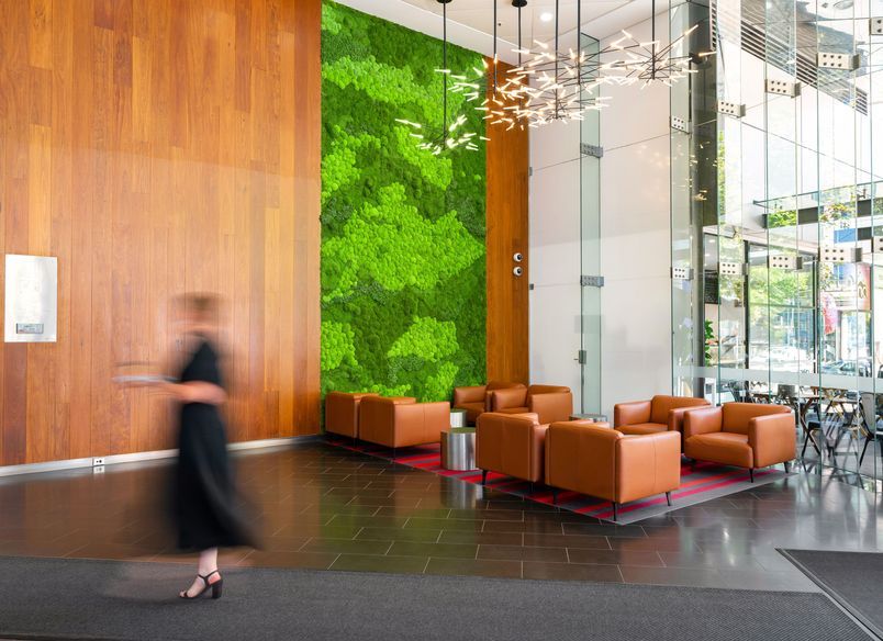 Easygreen Moss Wall